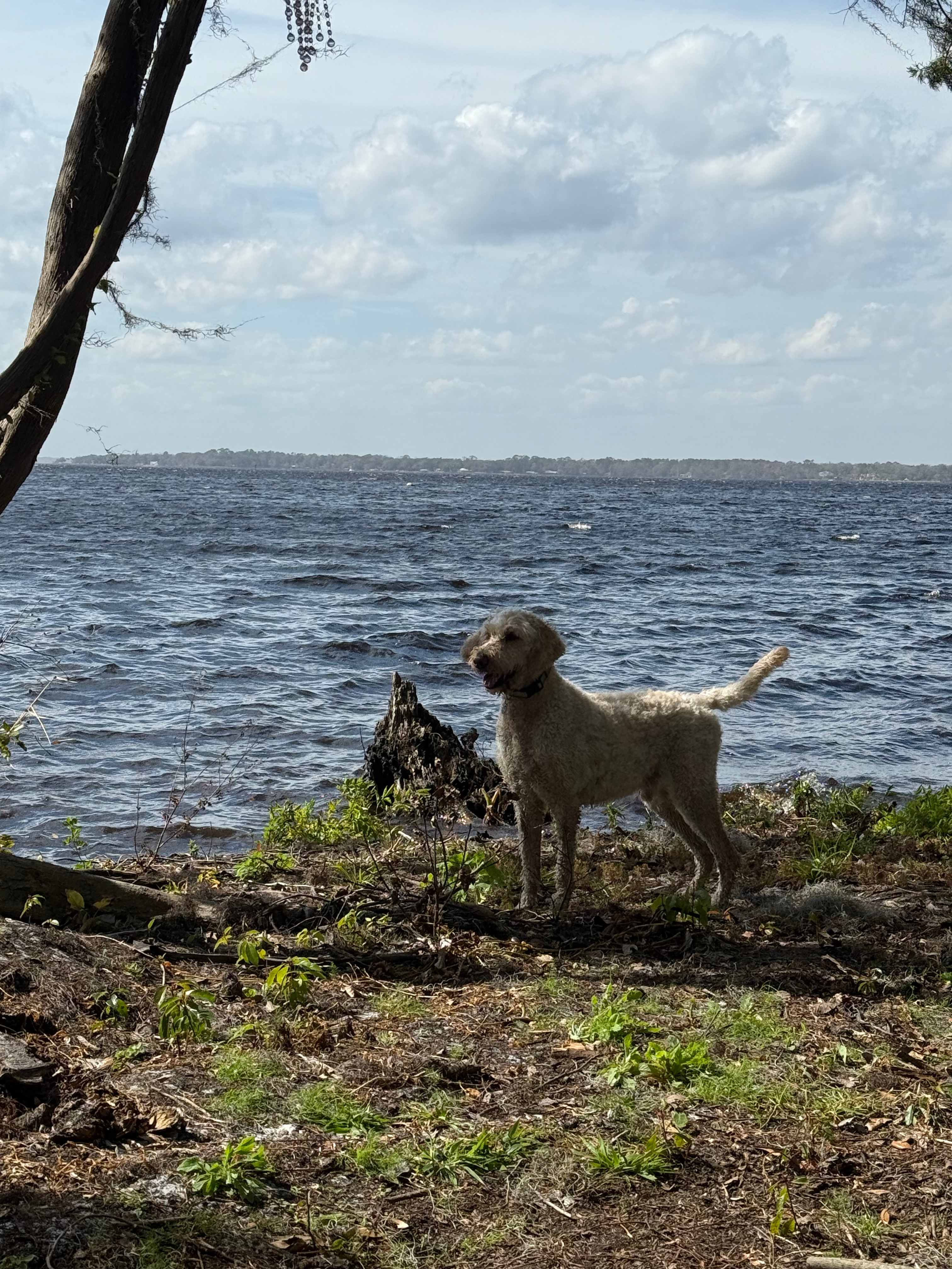 Sunset Escape Farmstead