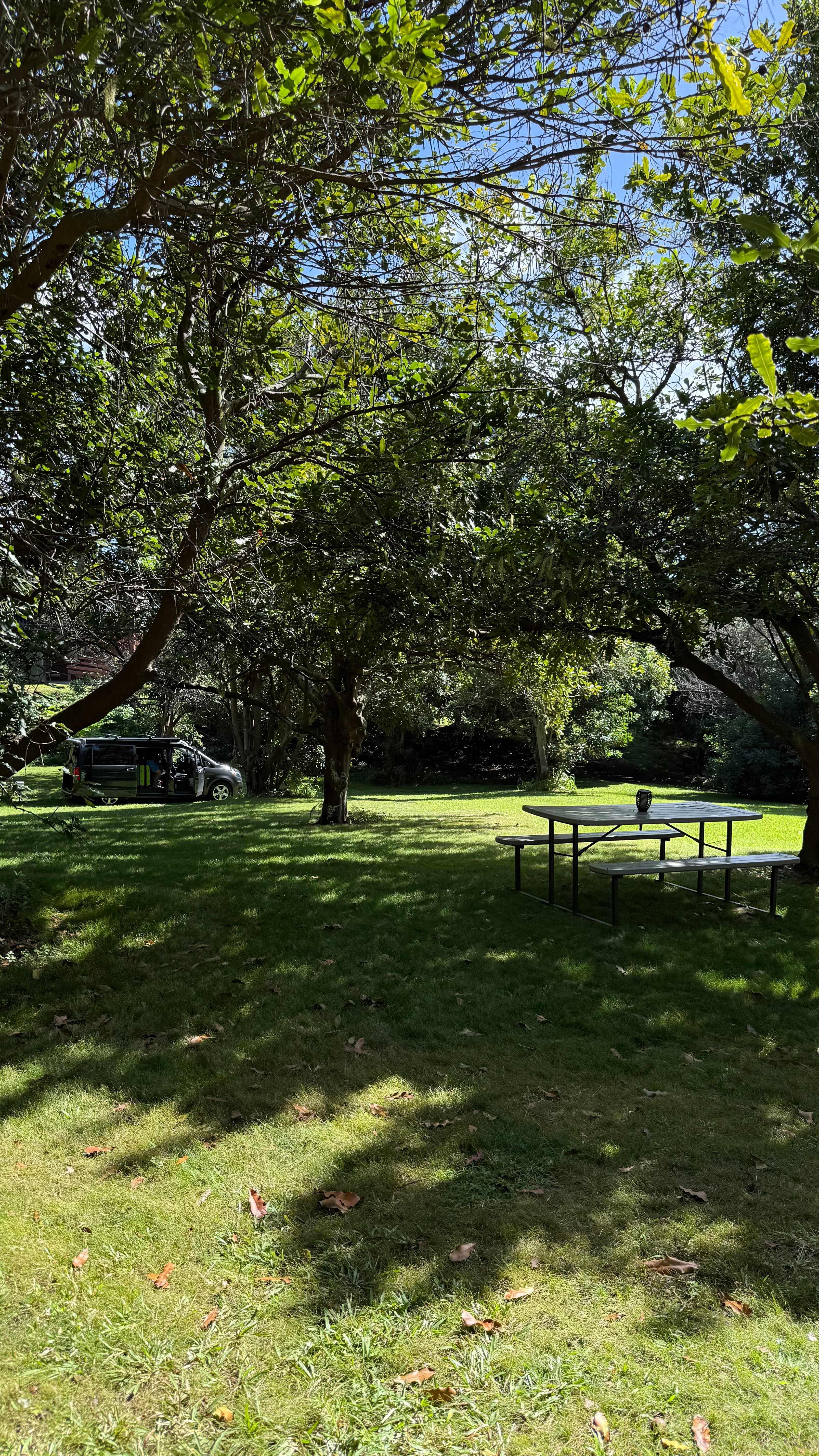 Hawaii Island's Best Campsites