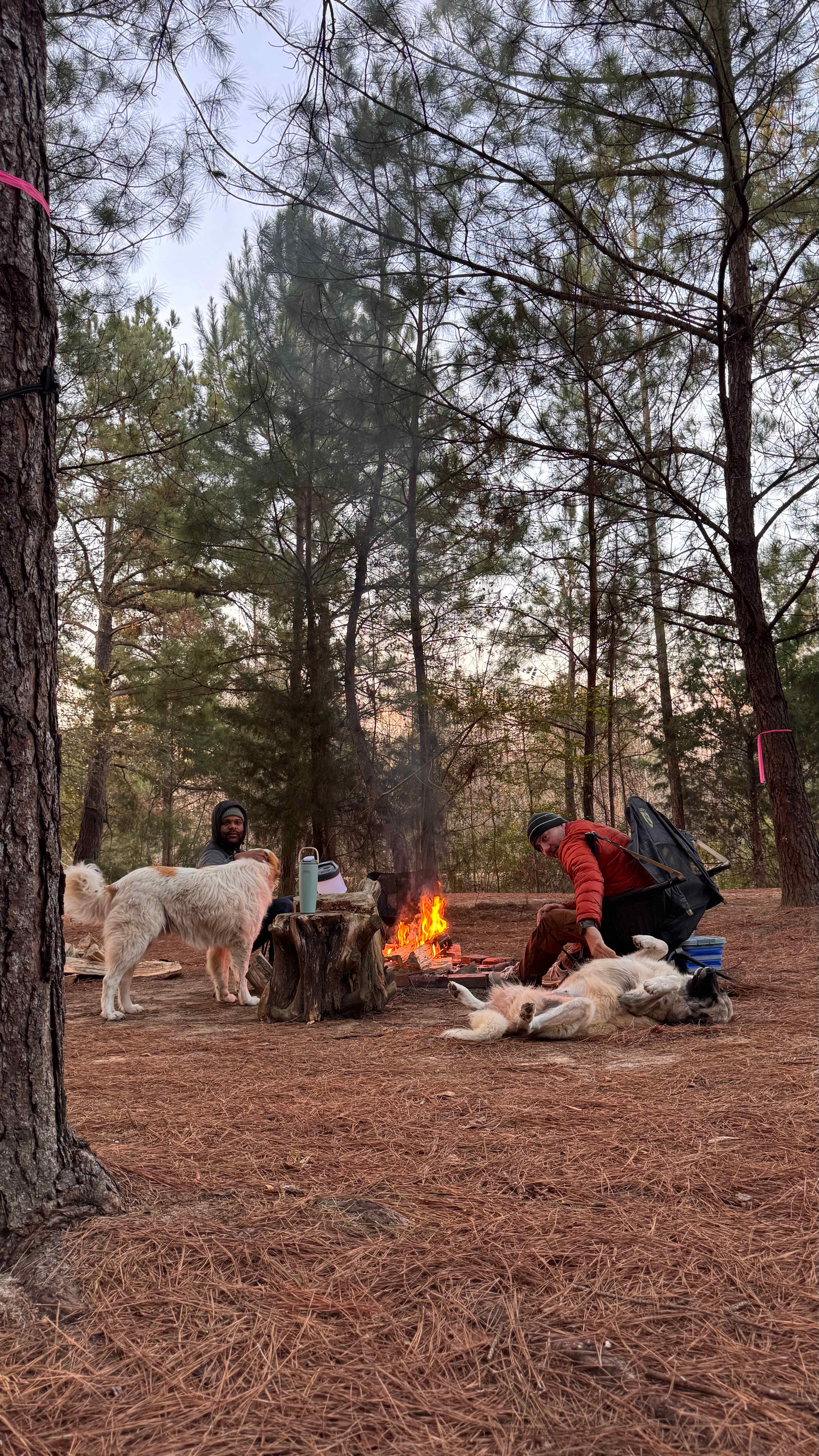 Moonpie Farm and Creamery