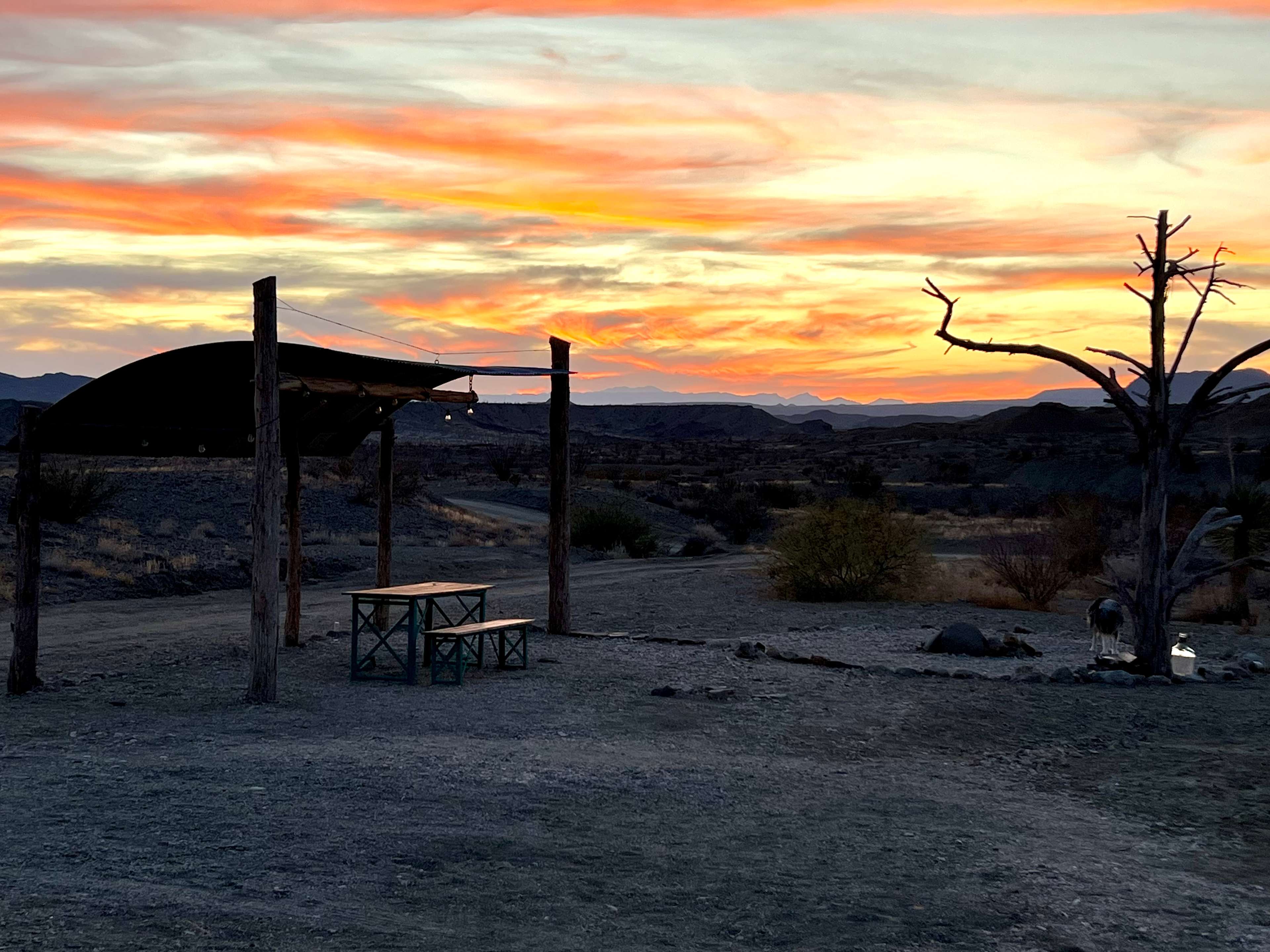 Rancho de los Arboles Muertos
