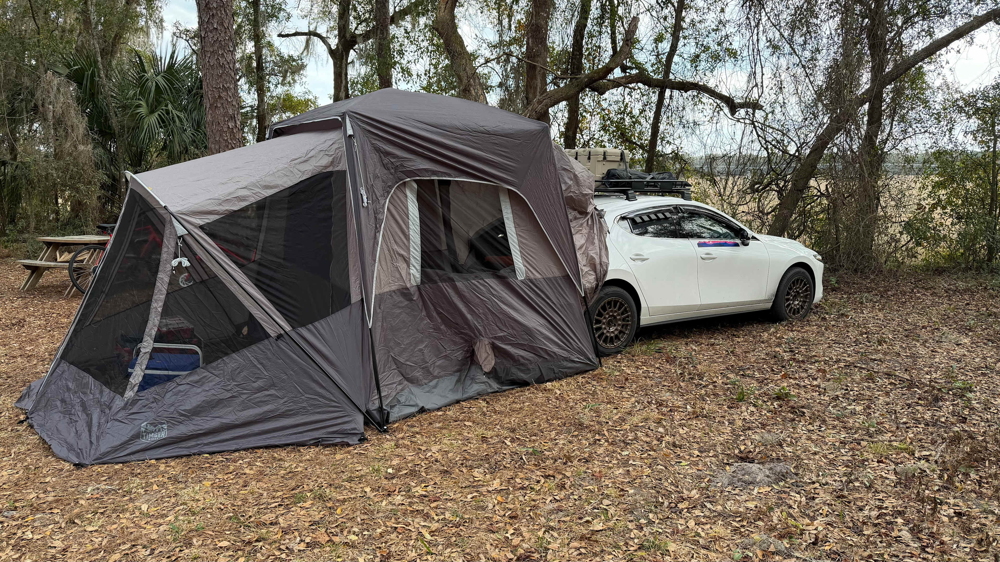 Camp Seminole Springs