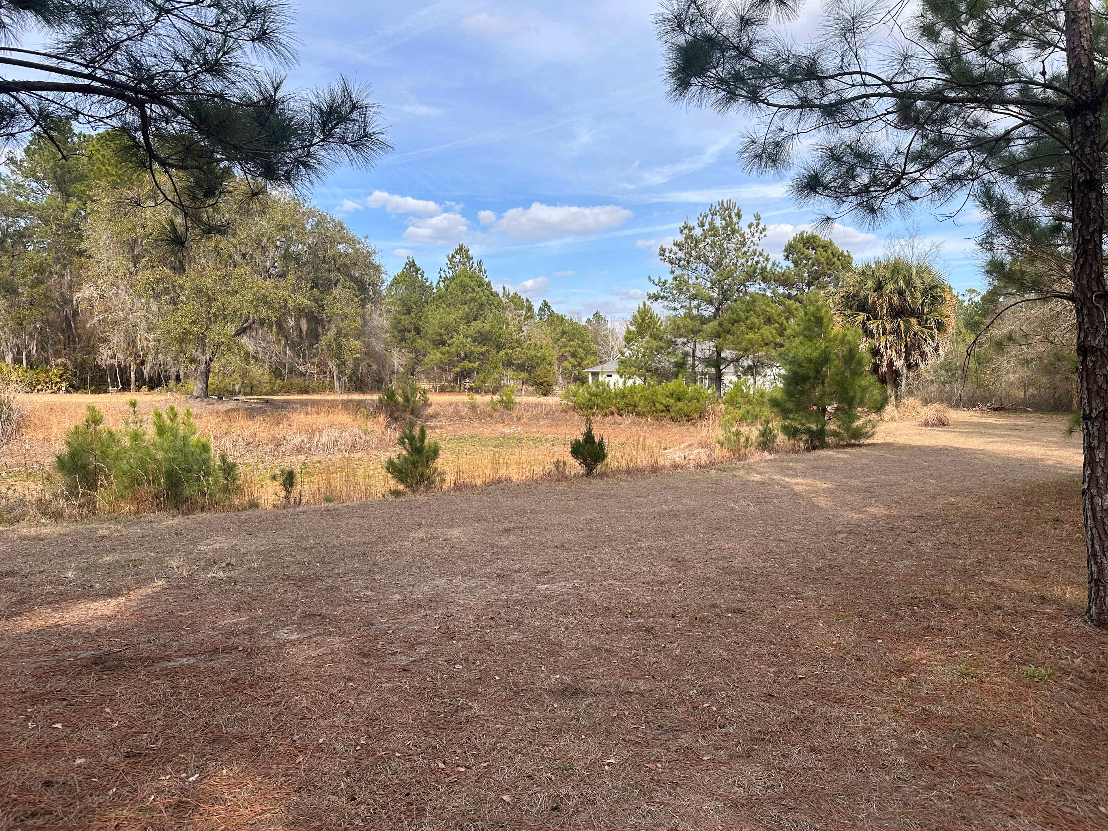 Wildflower Pond and Woodlands