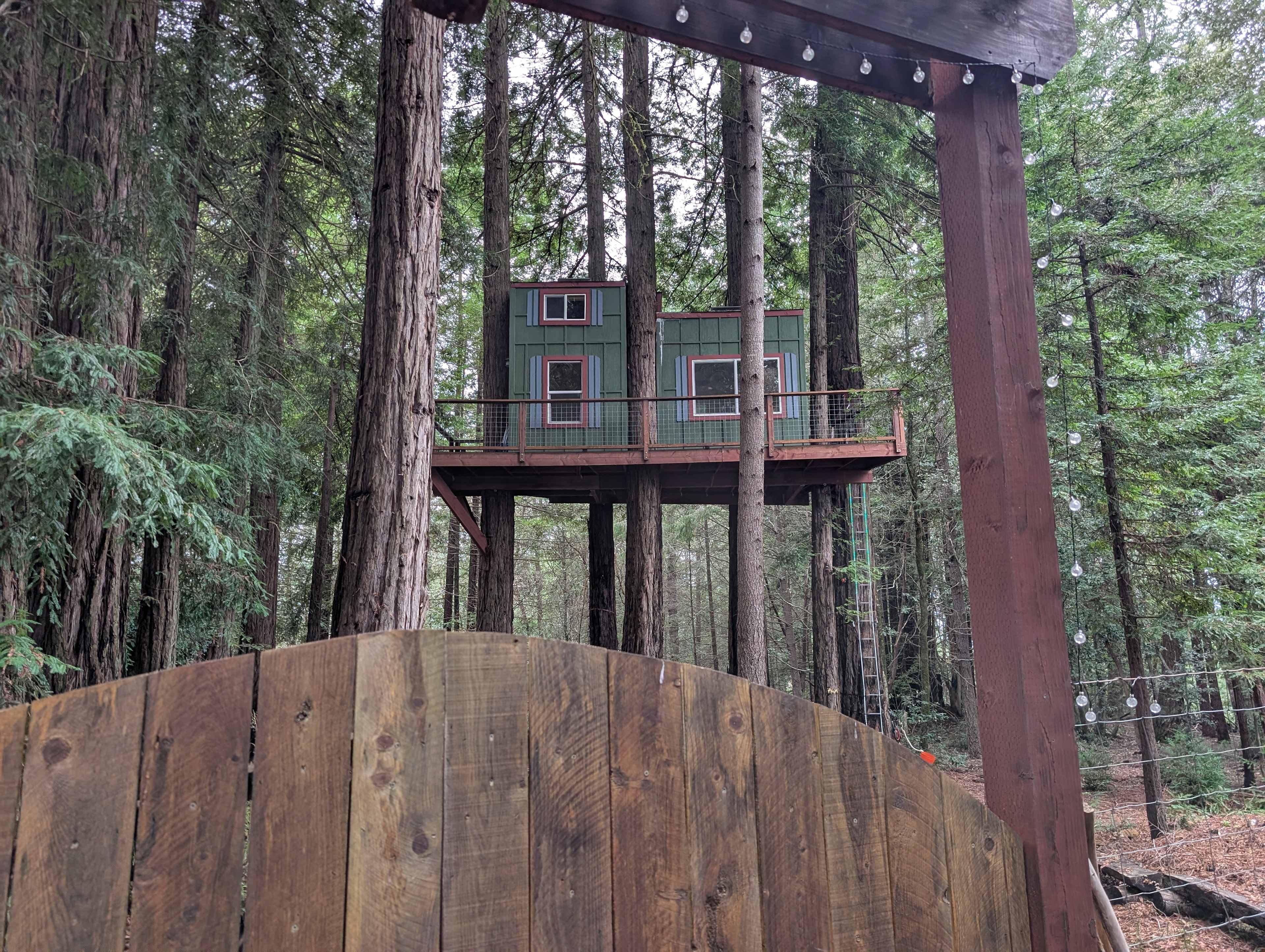 Moon Bear wildlife Sanctuary