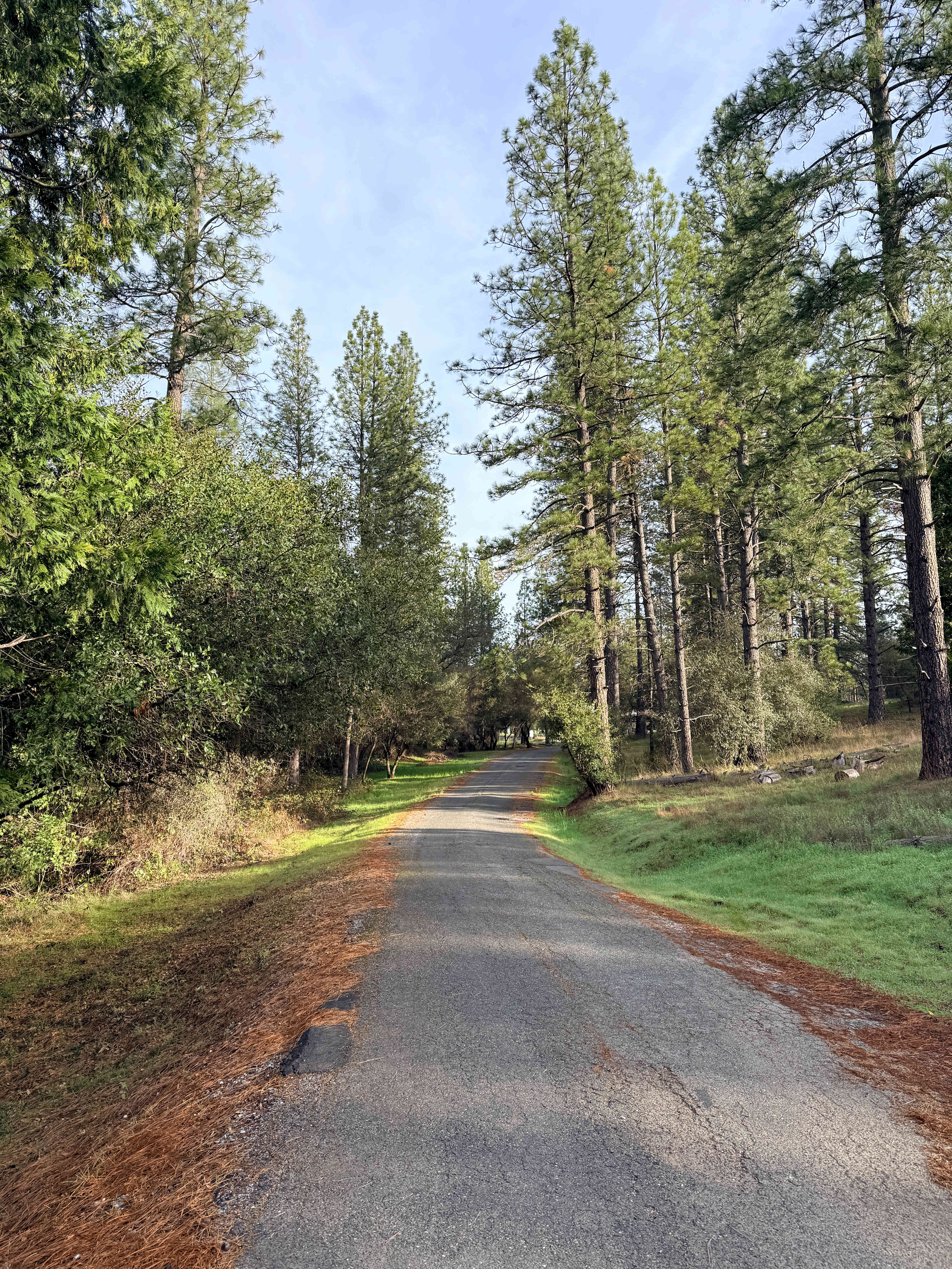 The road to a great camping trip!