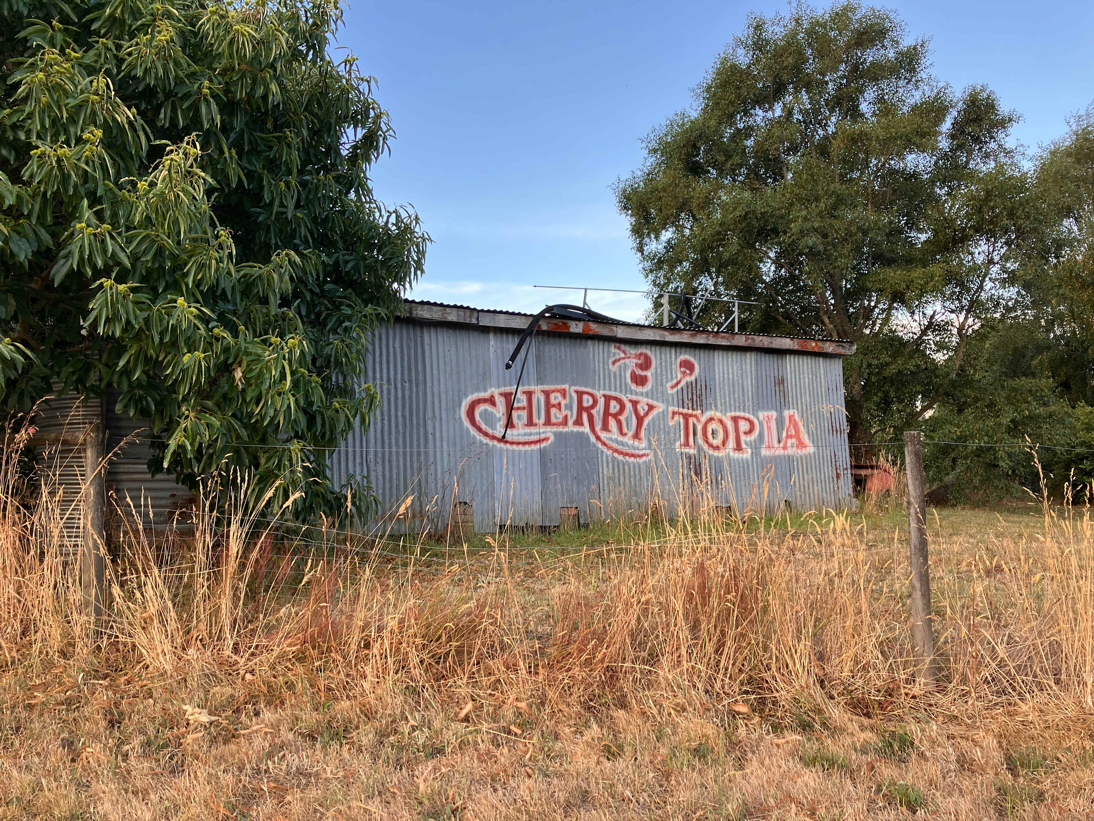 Cherry Top Farmstay