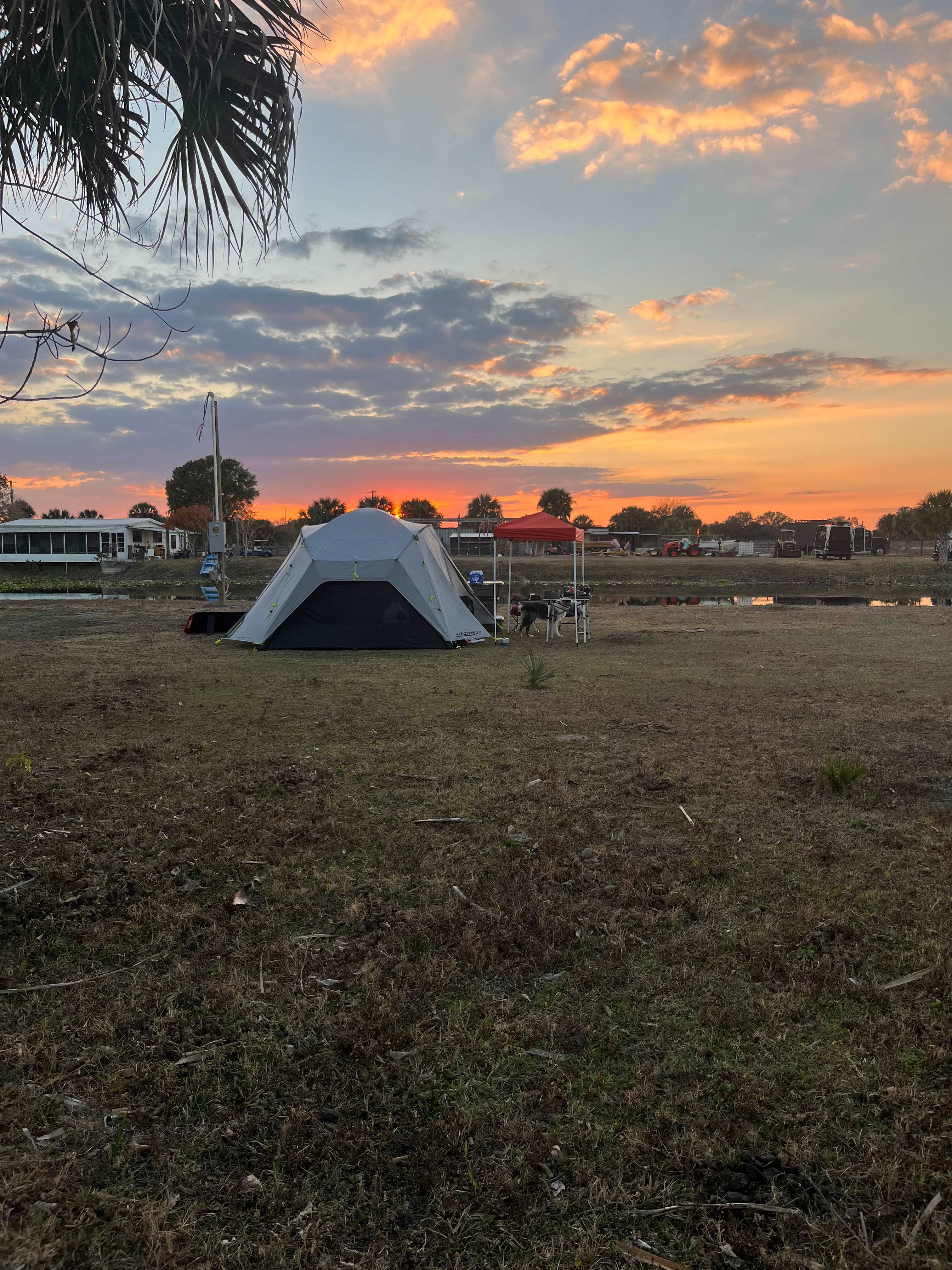 Blue Fox Ranch: Lake & Farm Camp