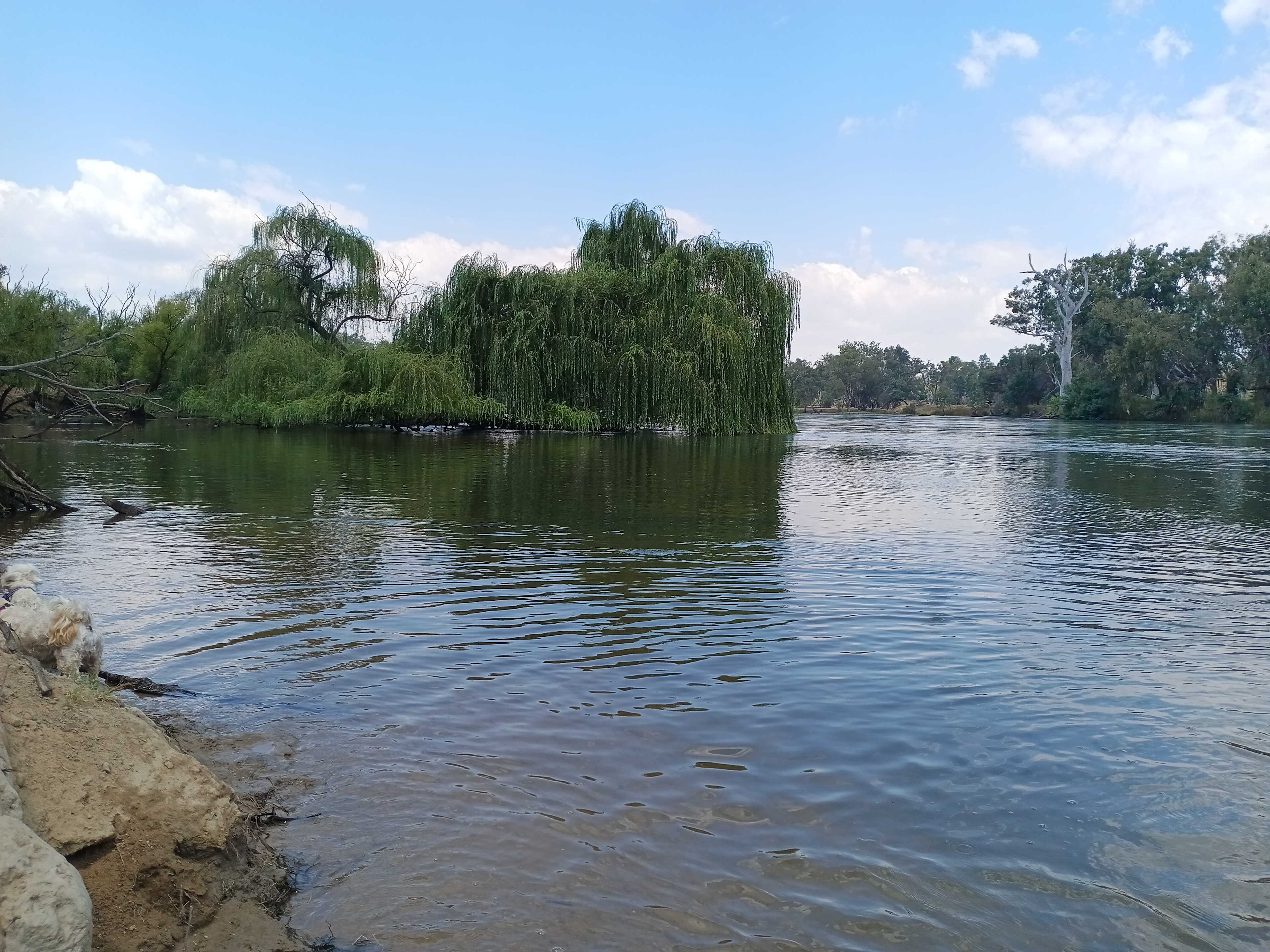 Rolling Hills & Riverside Camping