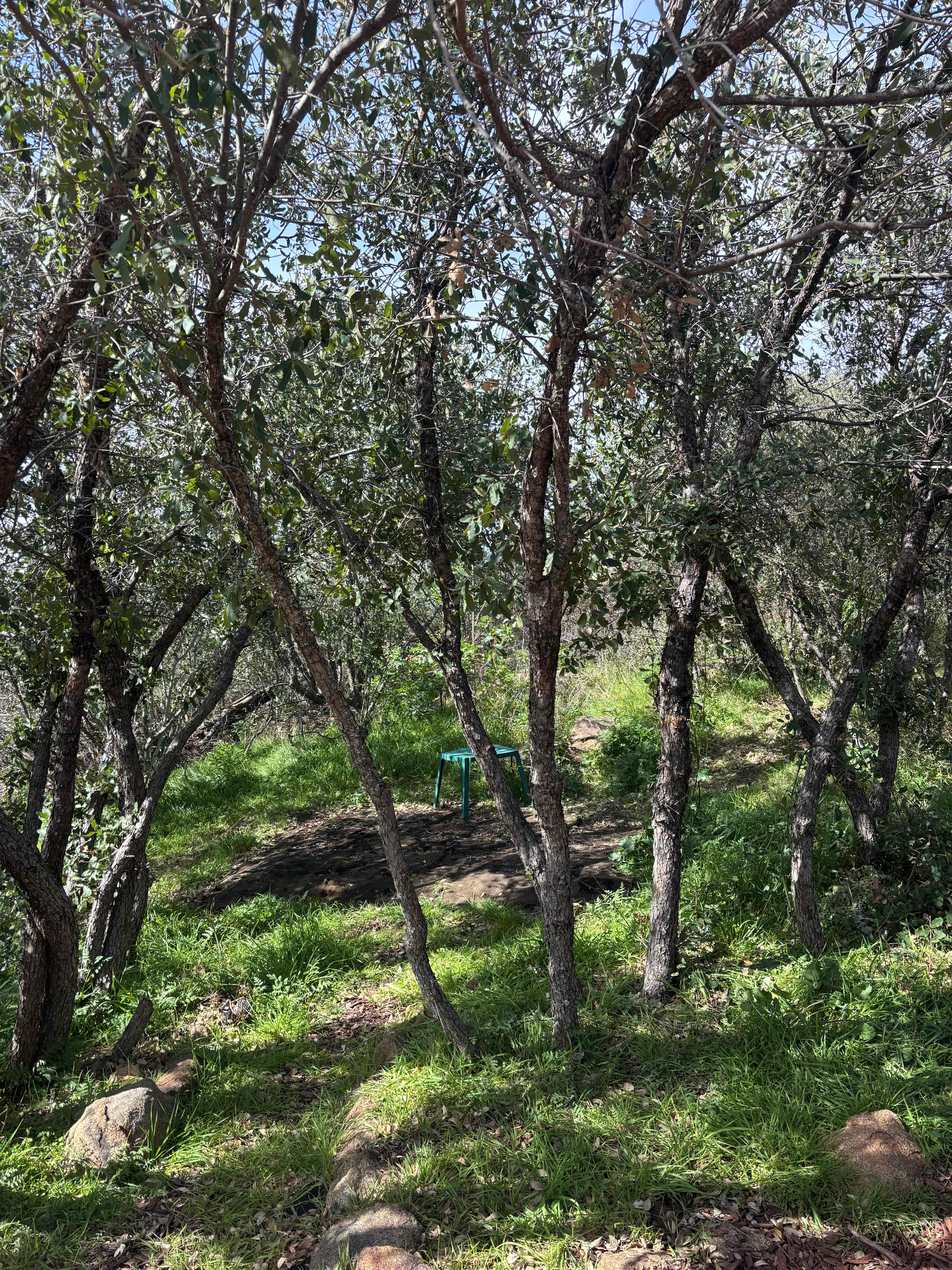 Svatantria Boutique Retreat