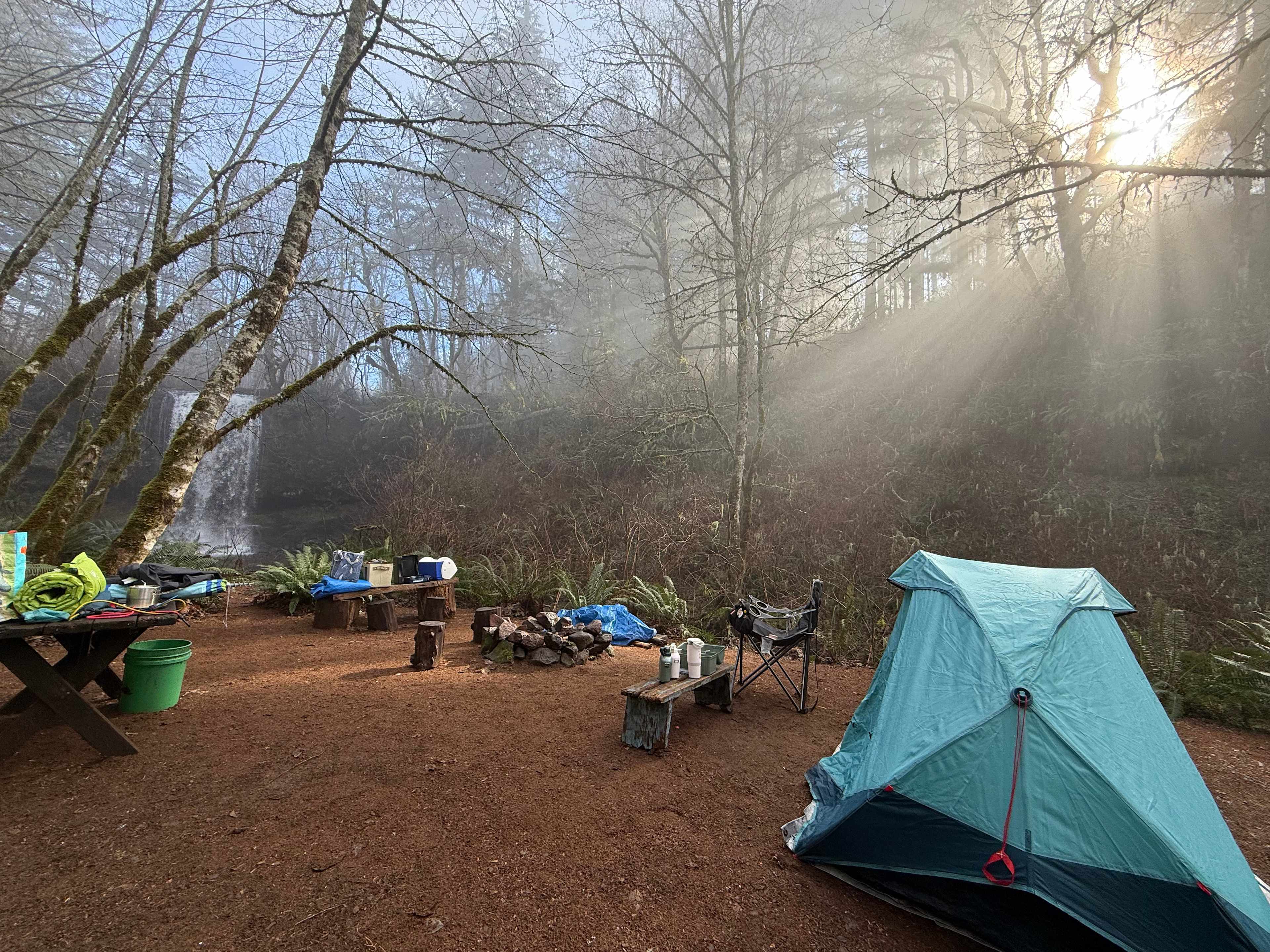 morning sunlight and fog