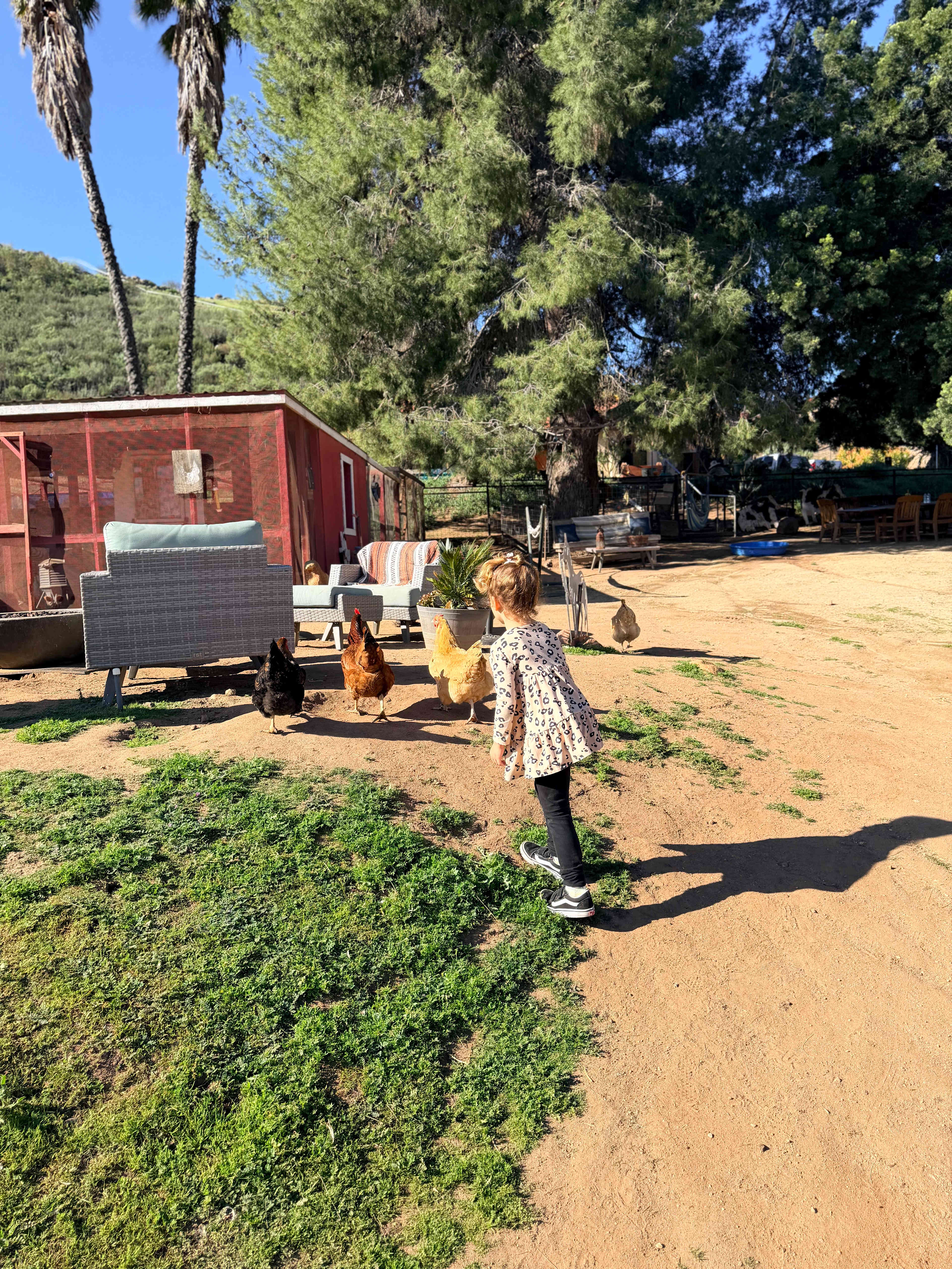 2 The Rescue Animal Sanctuary