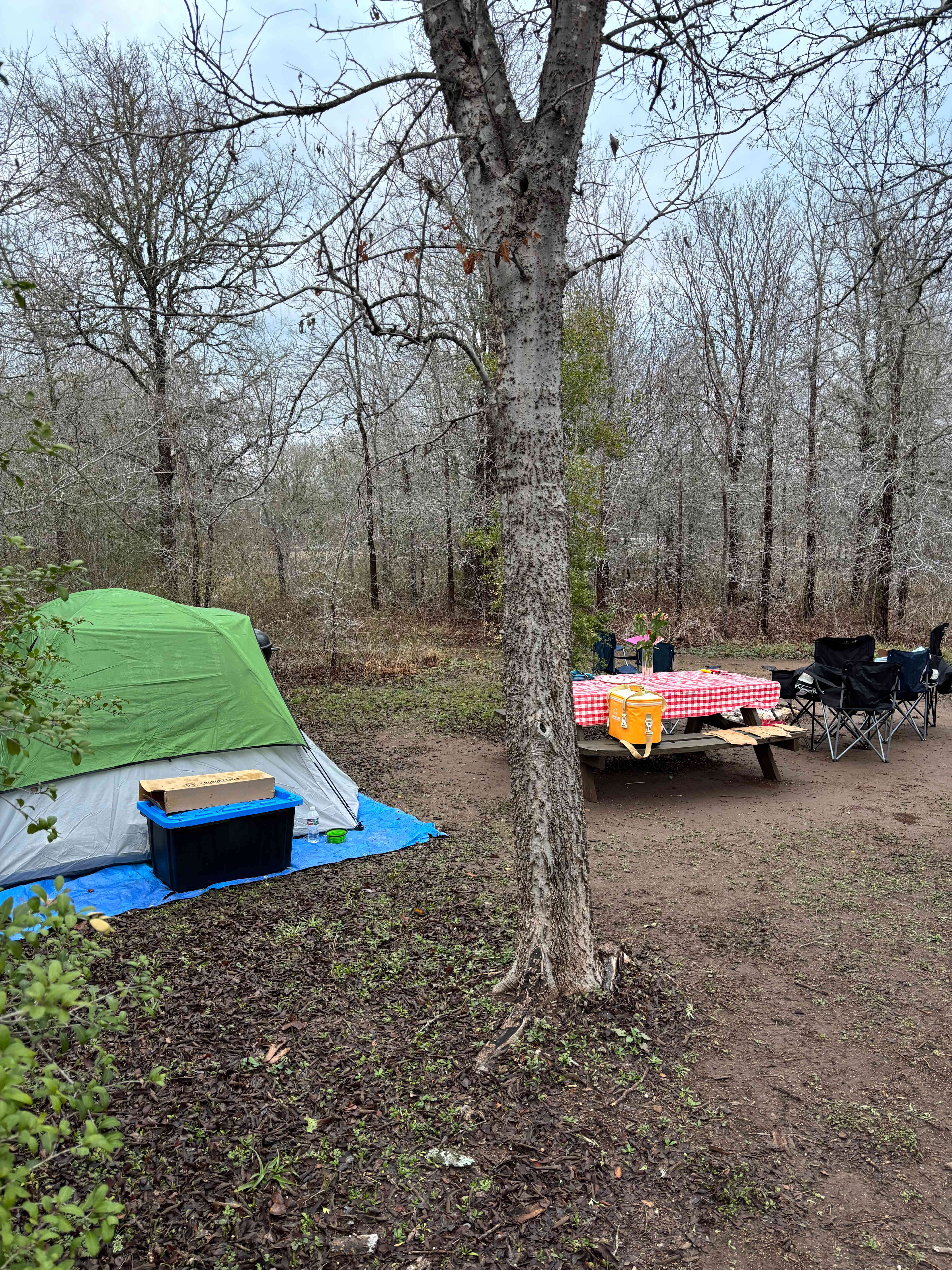 Happy Horse Camp & RV Getaway