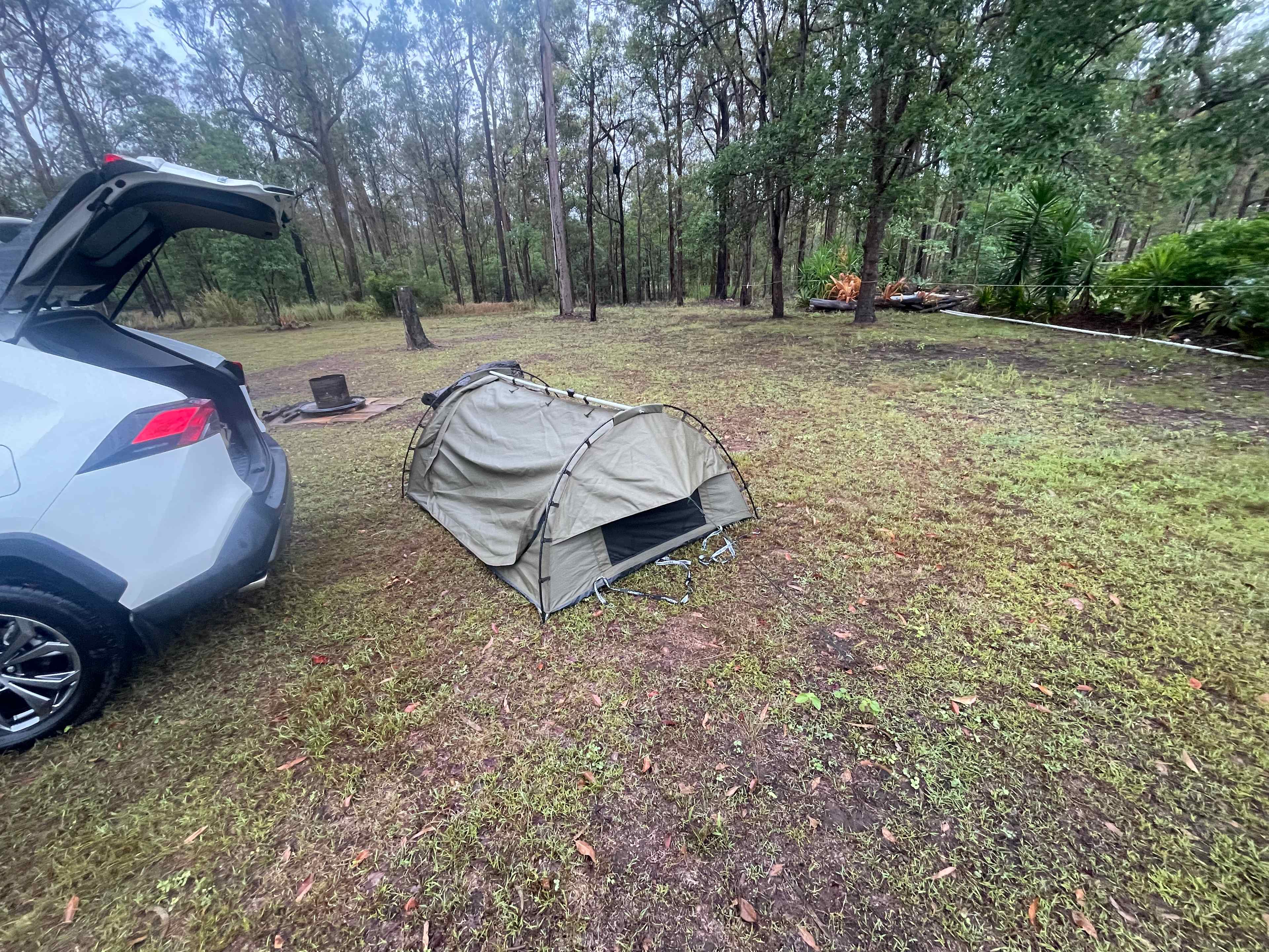 Valley Views Performance Horses