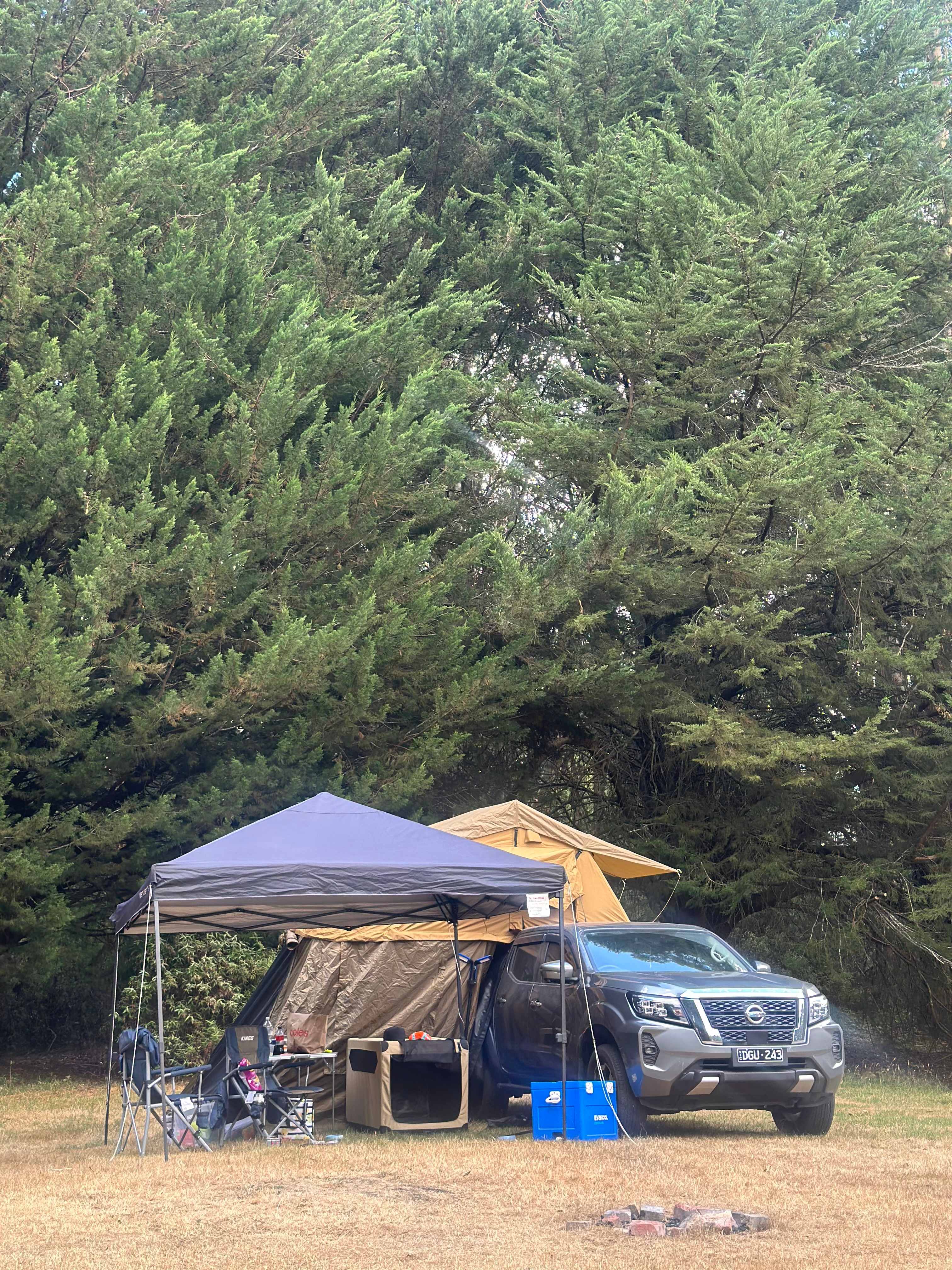 Waldheim - Our Home in the Forest