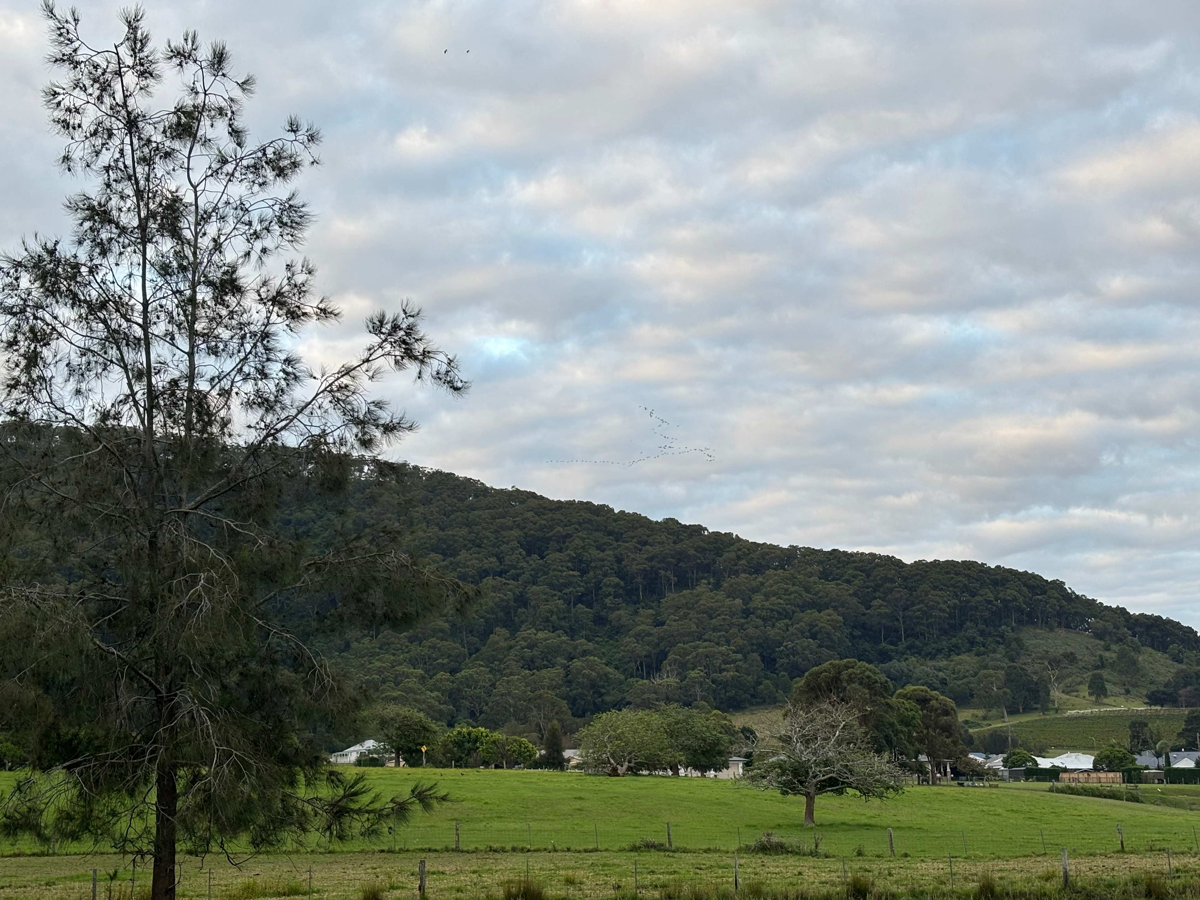 Misty Mountain Farm - Farm Stay