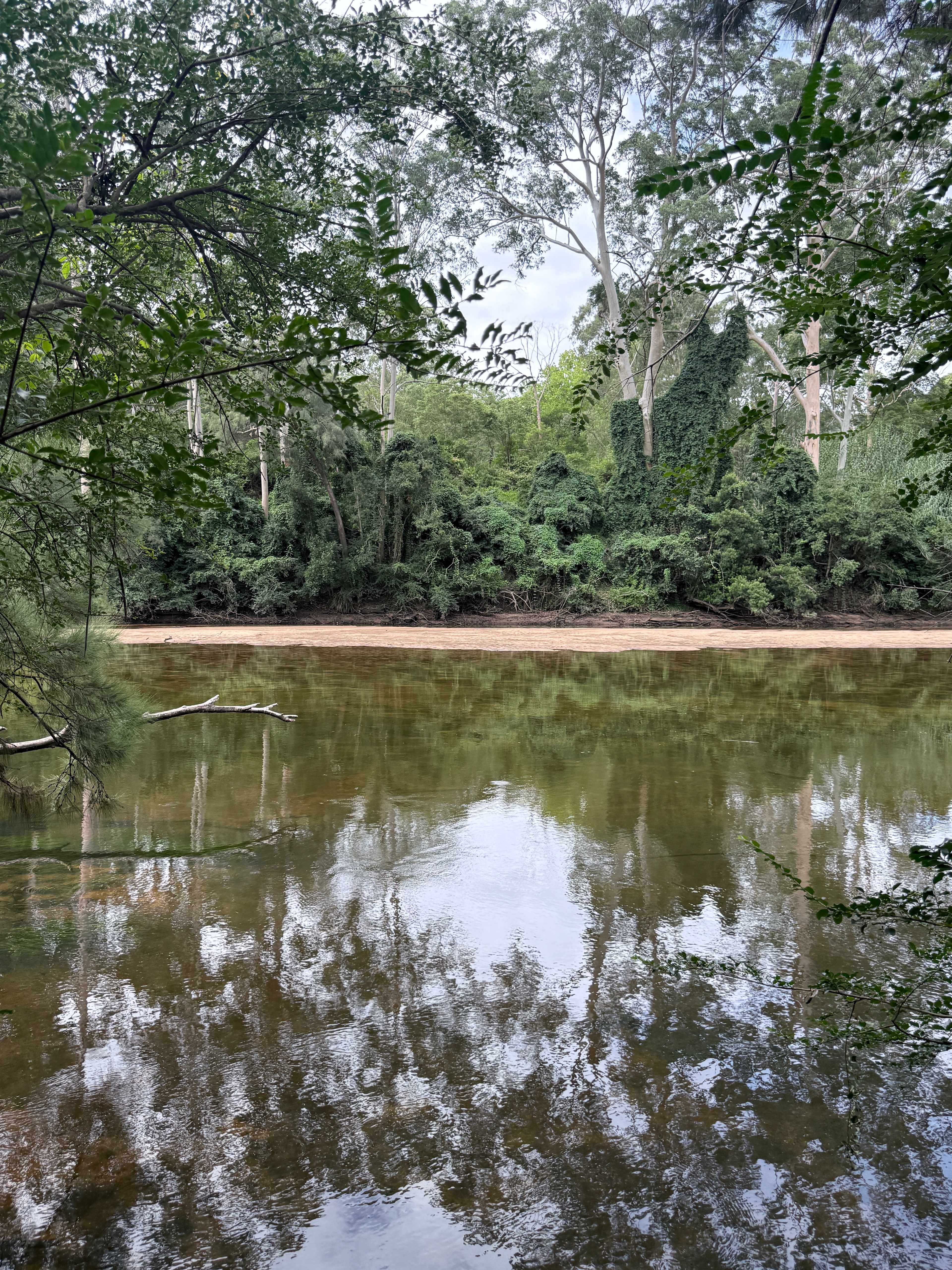 C Colo - just beautiful