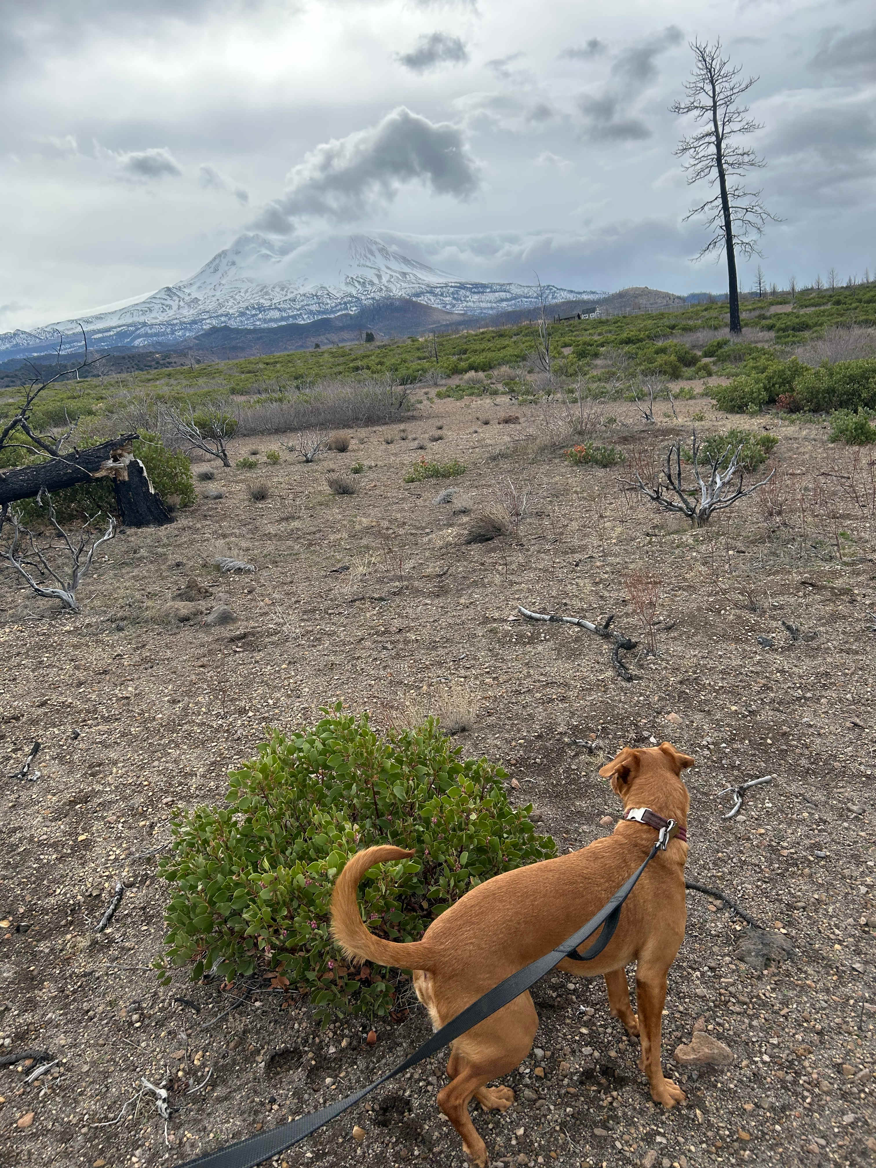 Juniper Valley Campsites