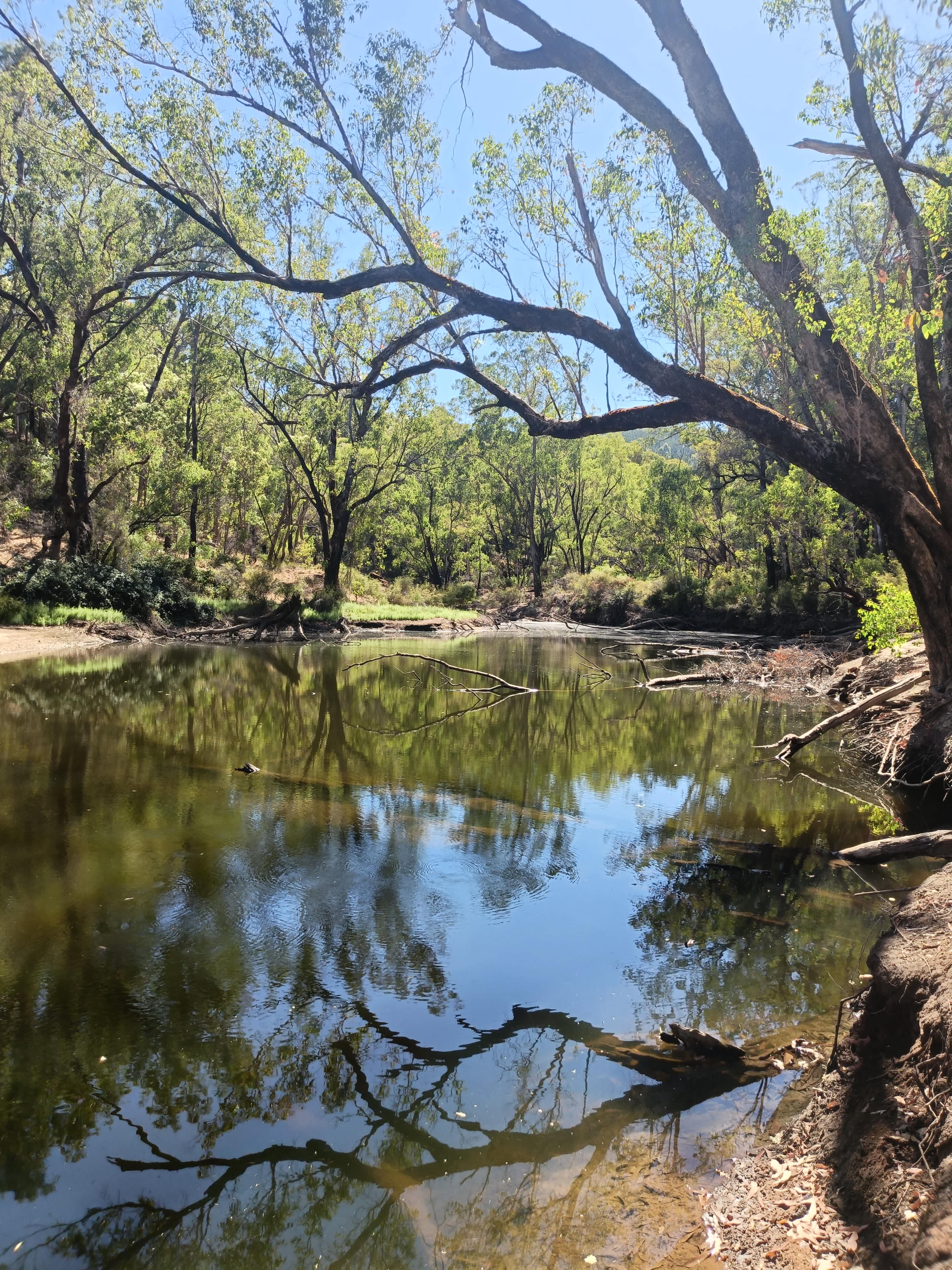 Nanga River Retreat, Dwellingup.