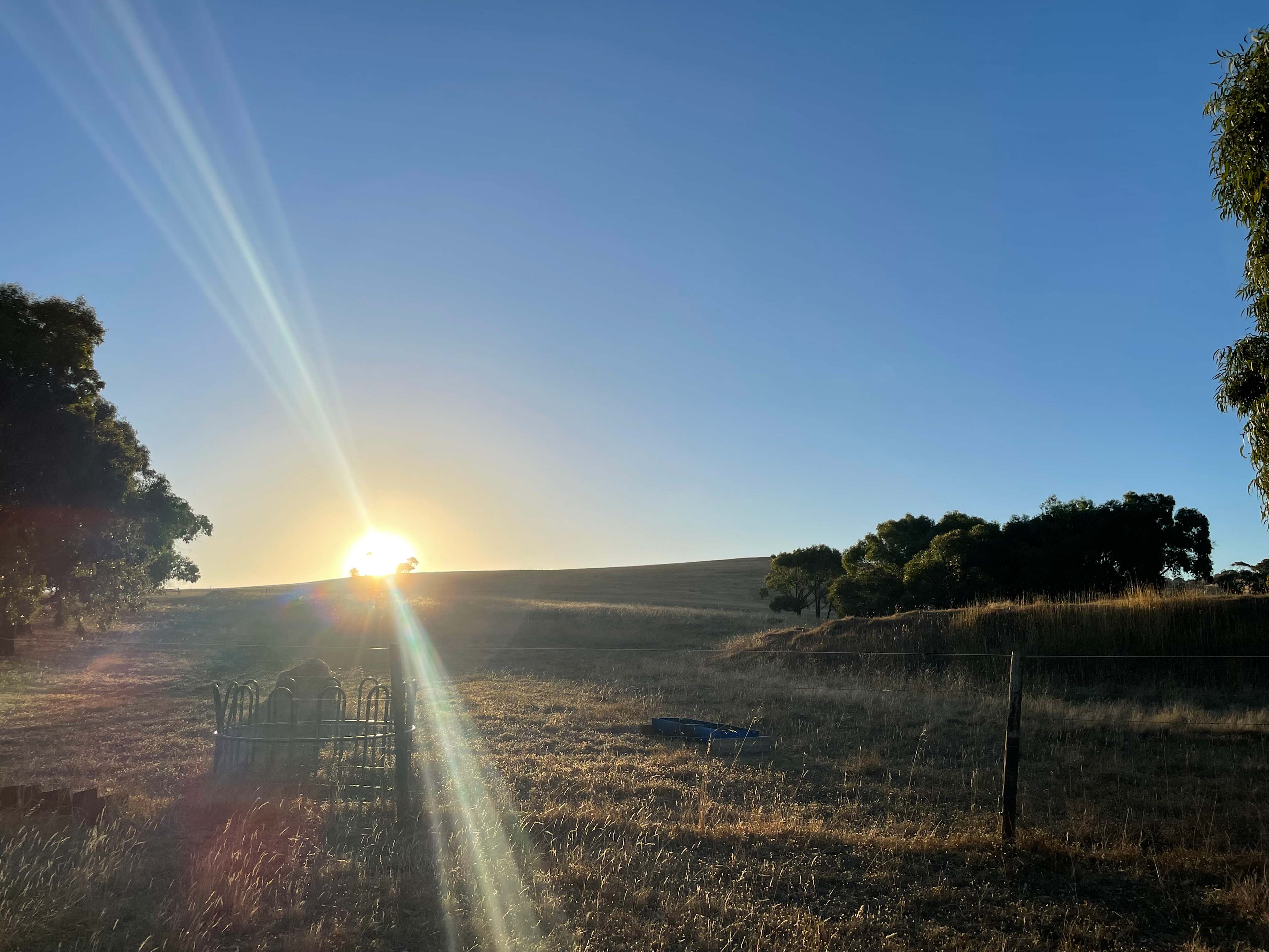 The Old Middleton Winery