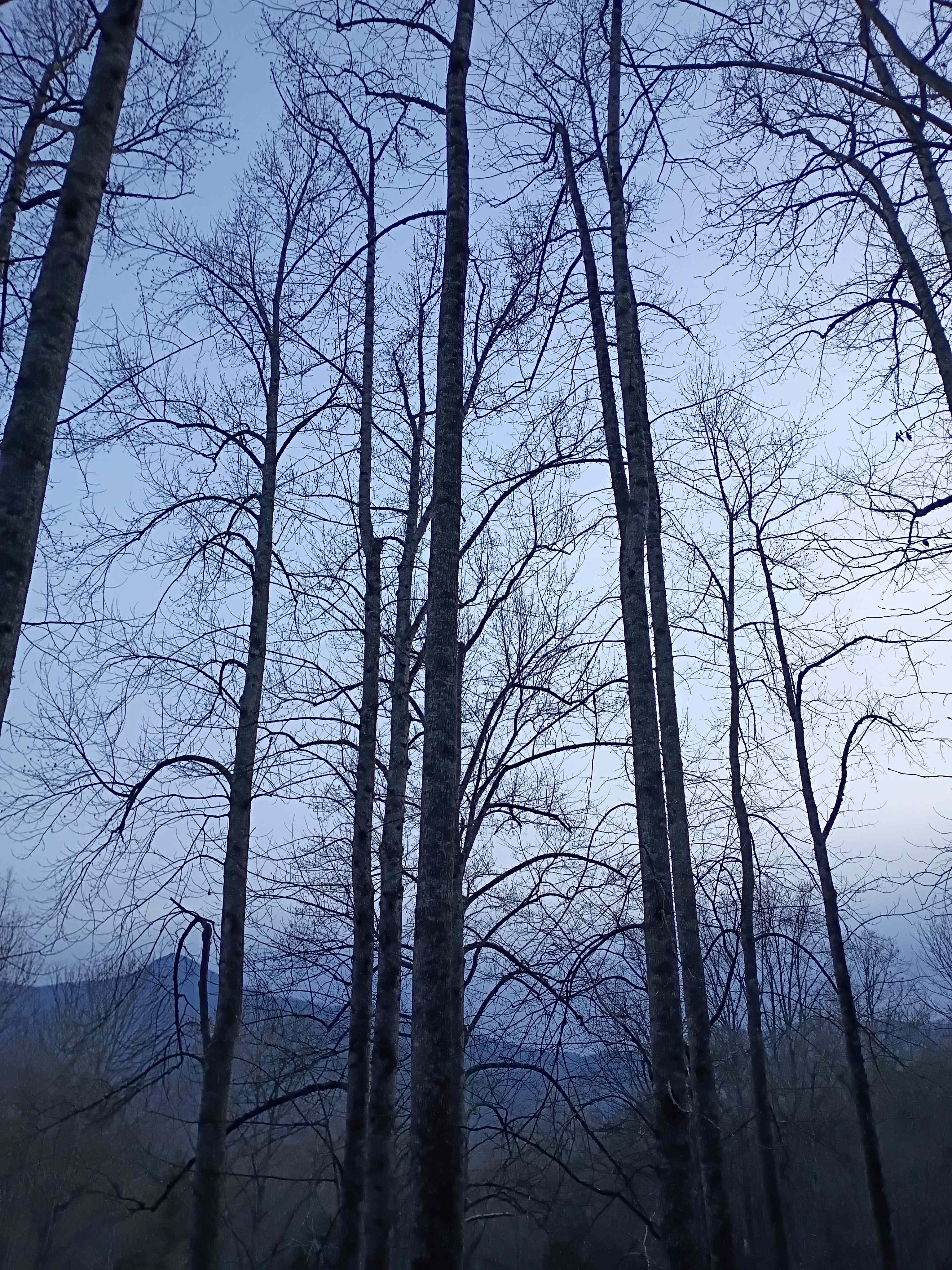 View from balcony, there is the property view below this 