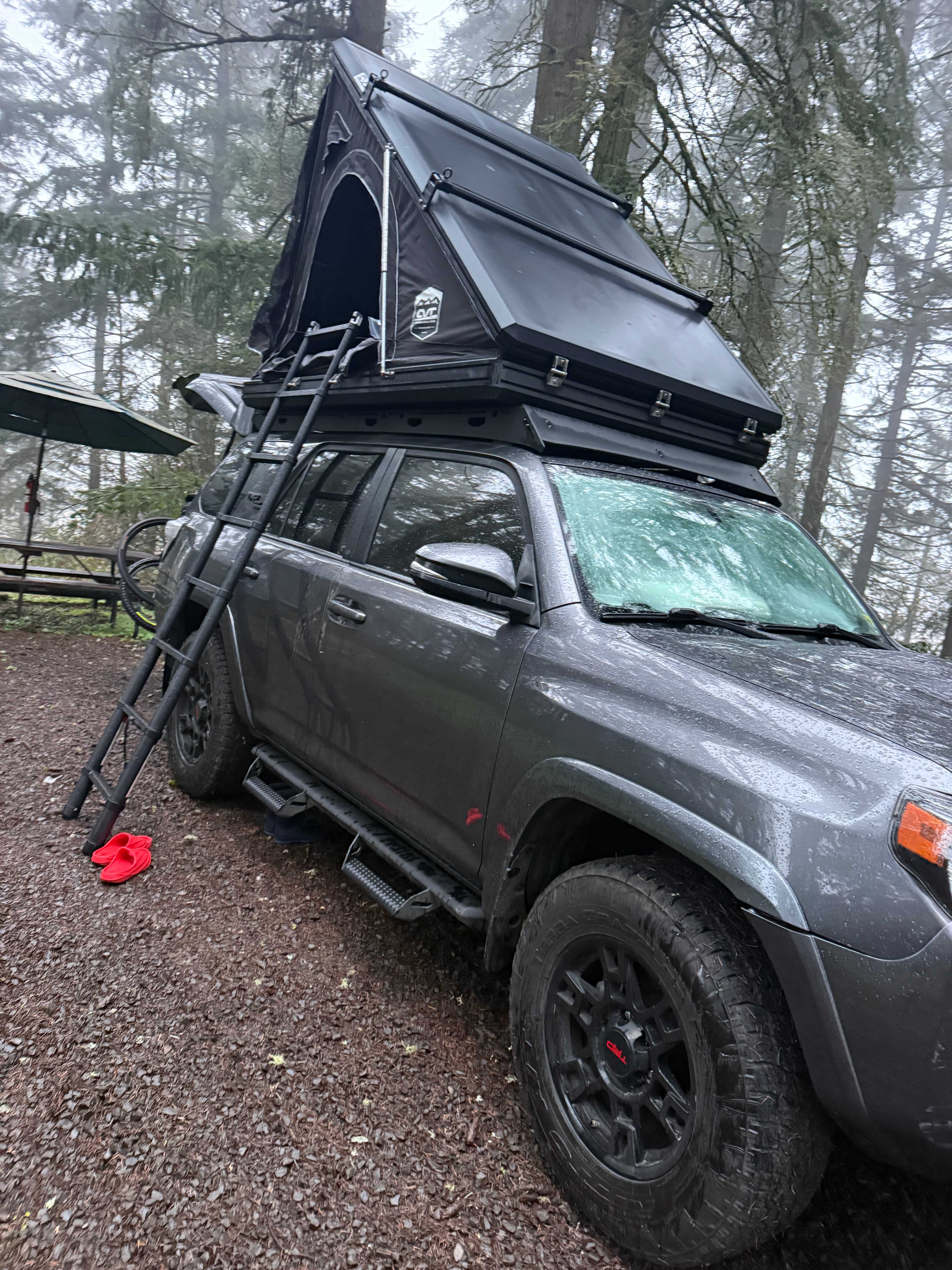 Carsners Tree Farm (CTF)