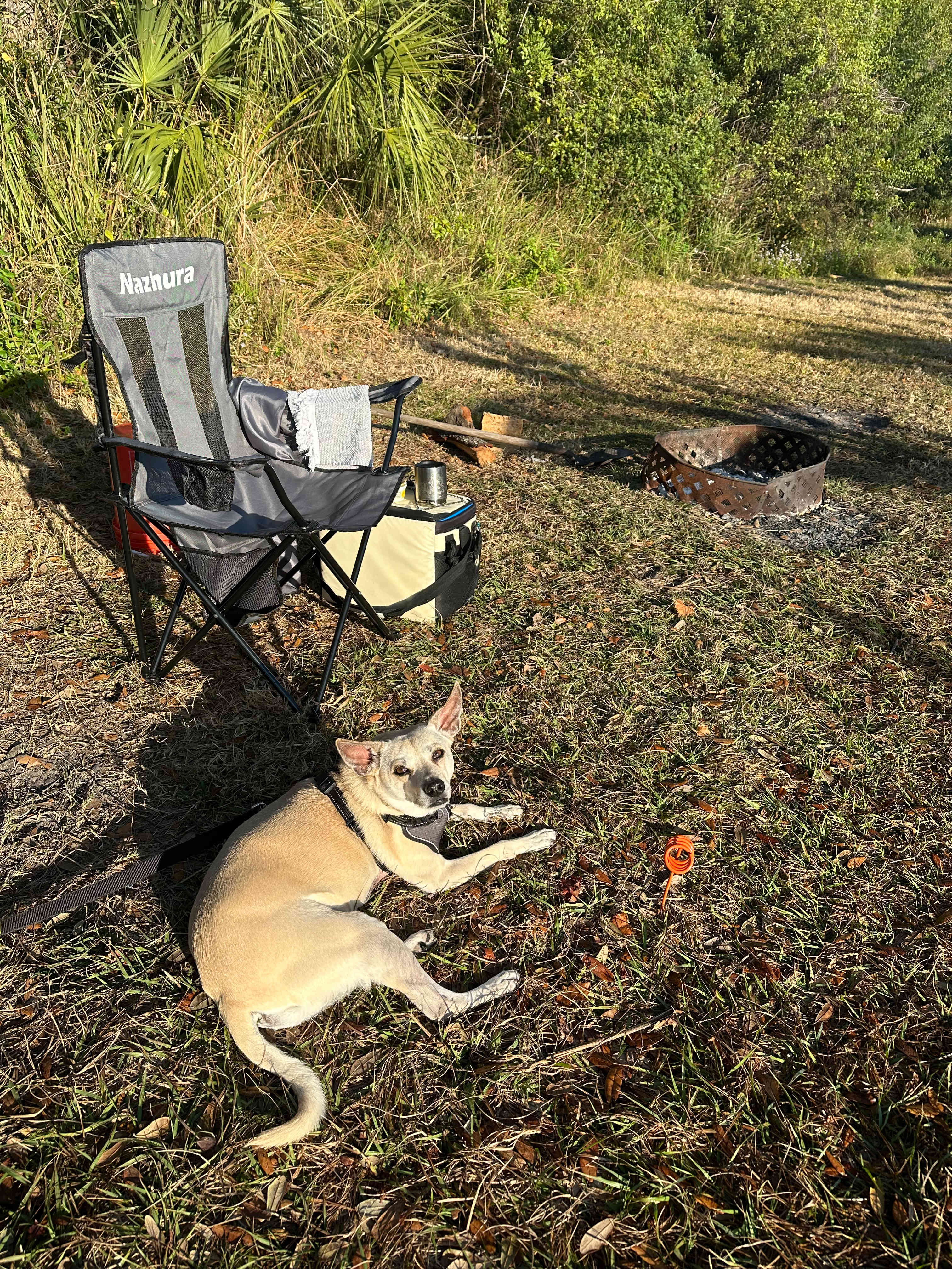 Dog friendly sites, and just remote enough to have some peace and relaxation from the daily grind