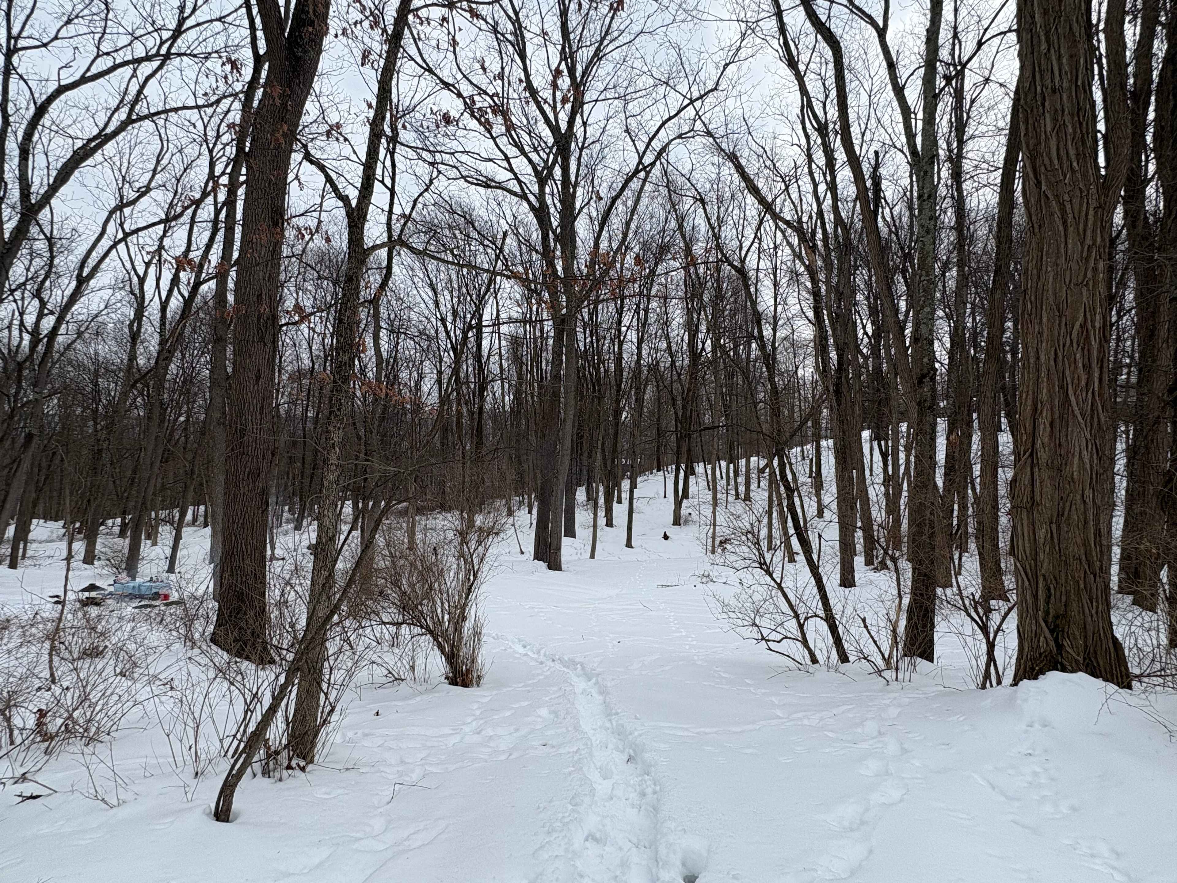Walk to the site from the car