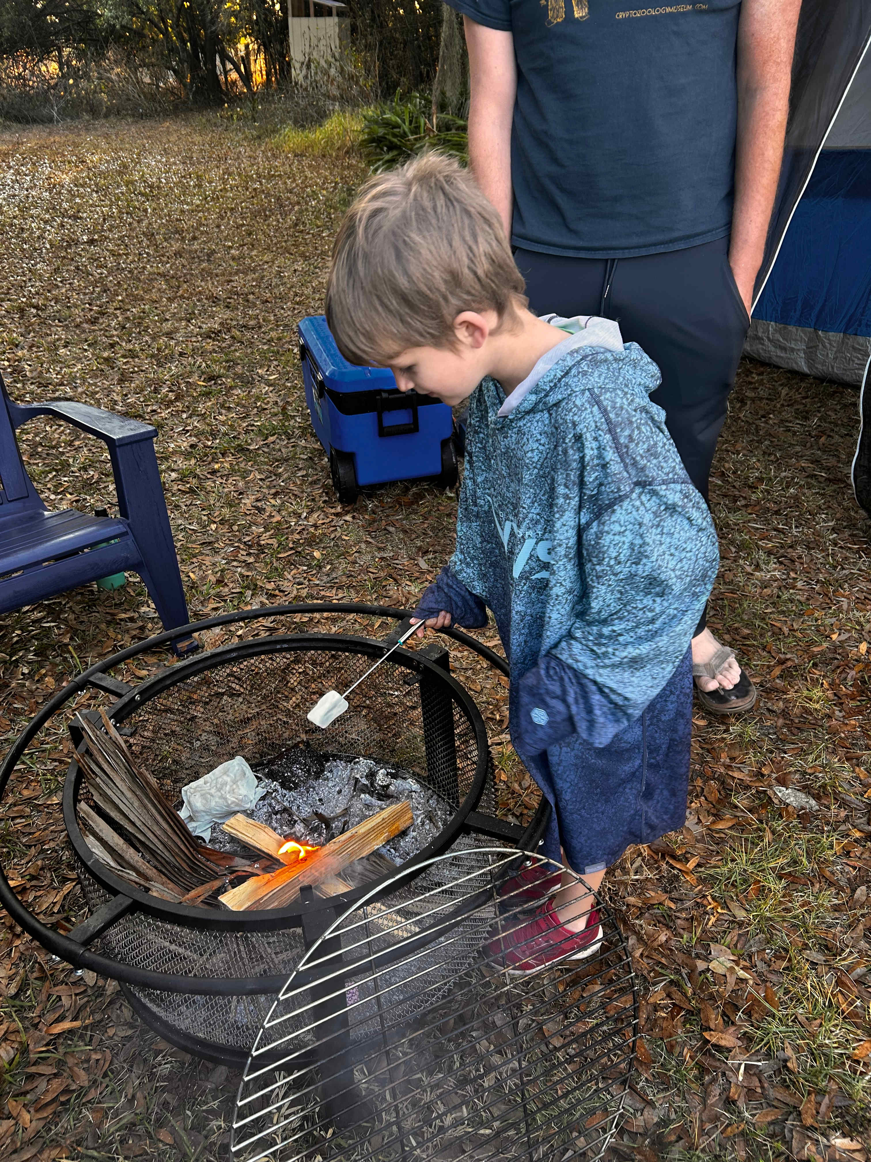 Magical Pond On Flitterbug Farm