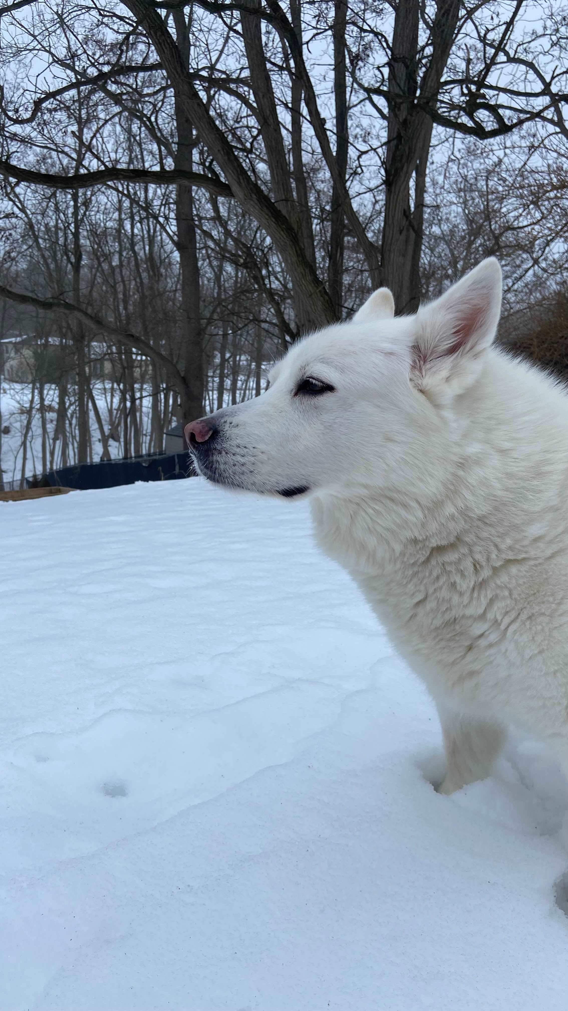 Boho Bungalow in Port Dover
