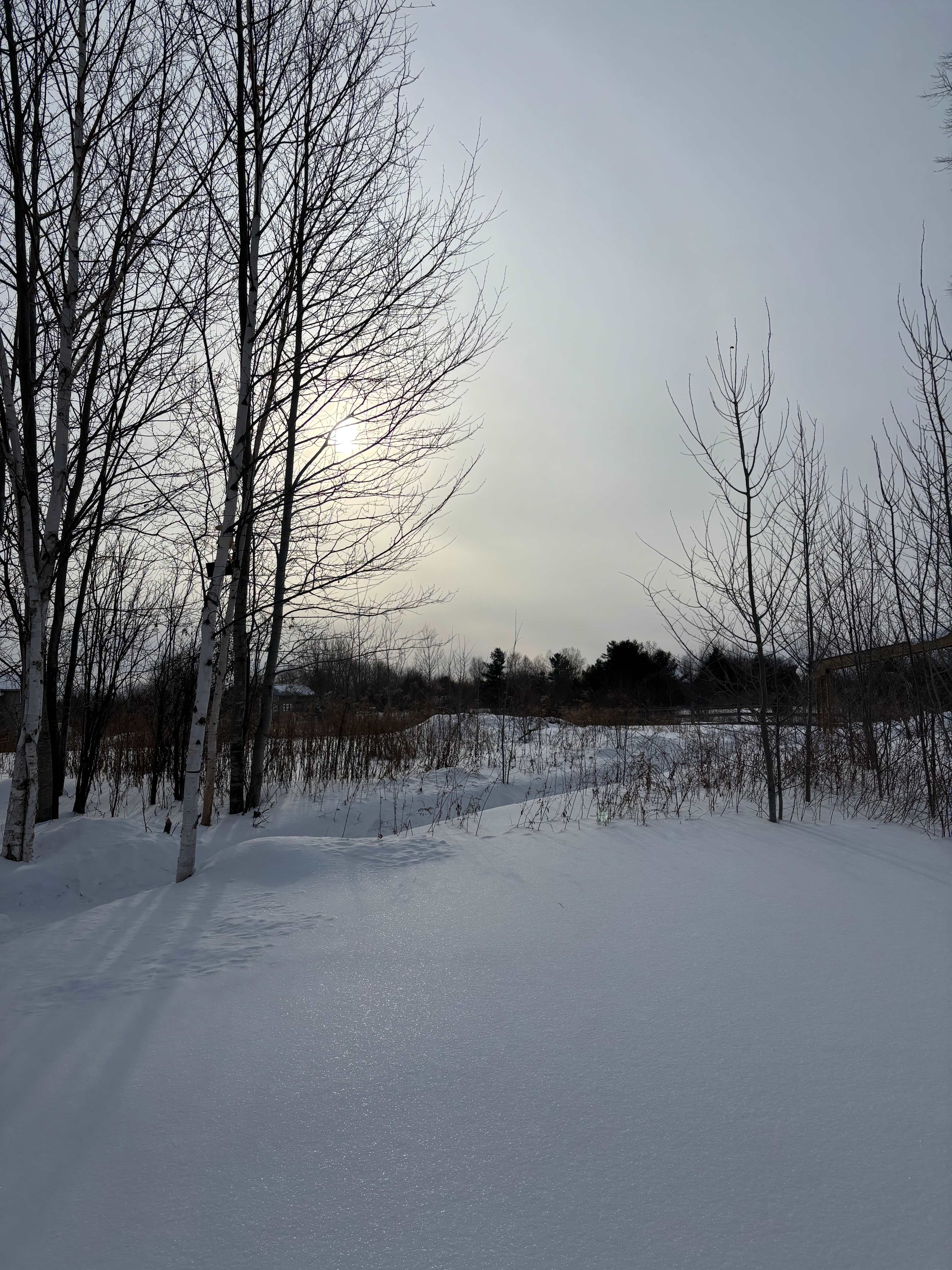 Agape Gardens - Nature Retreat