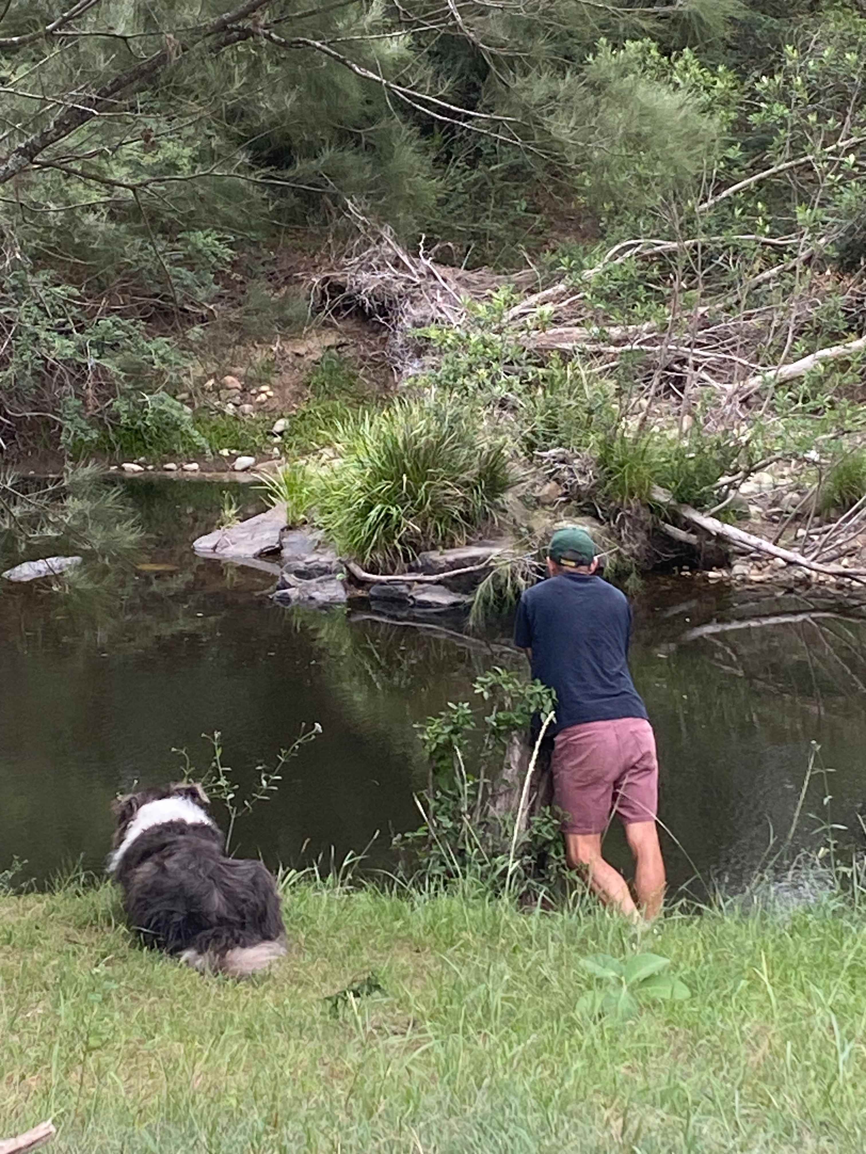 Contemplating the serenity