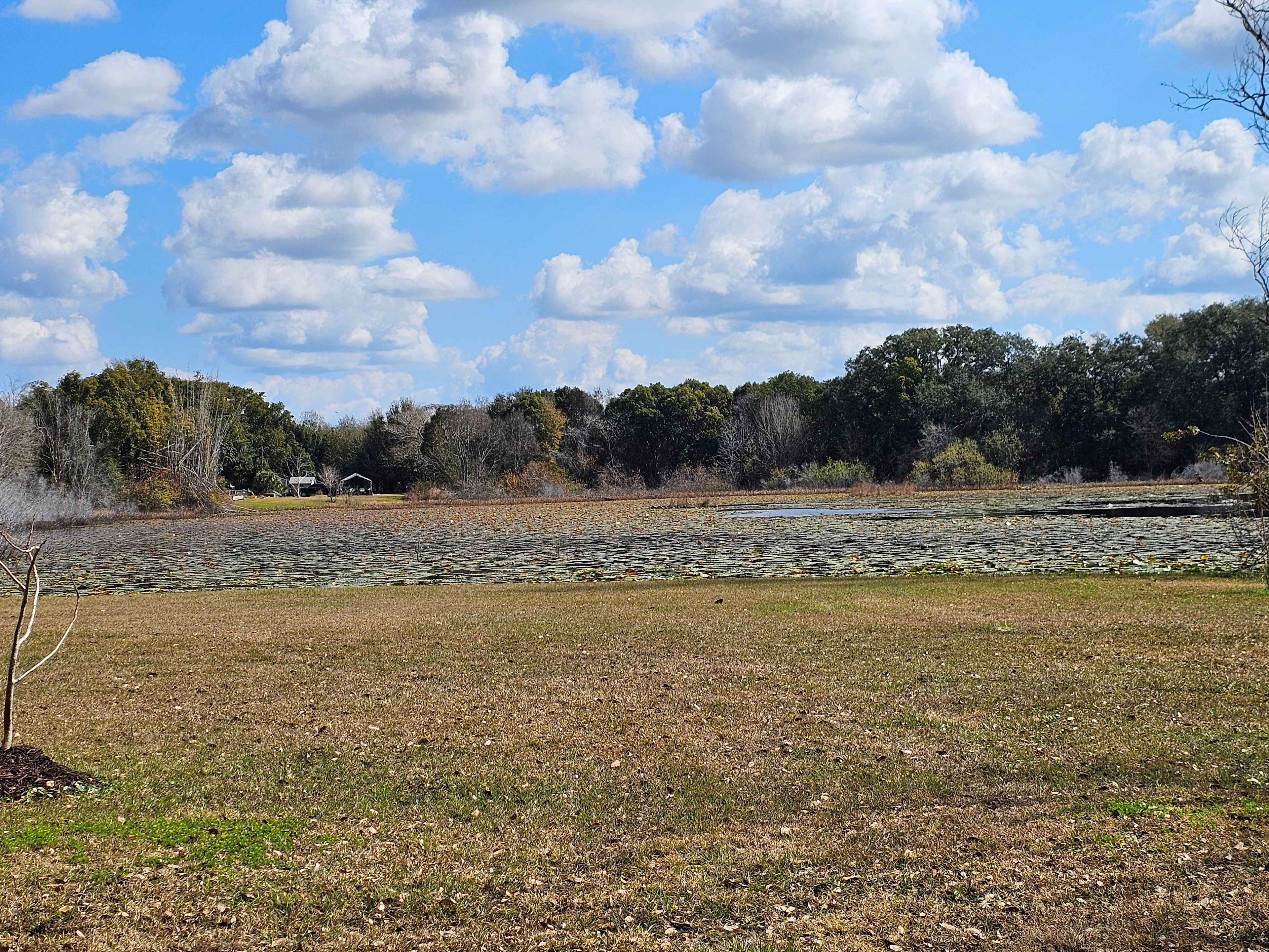 View from outside the yurt