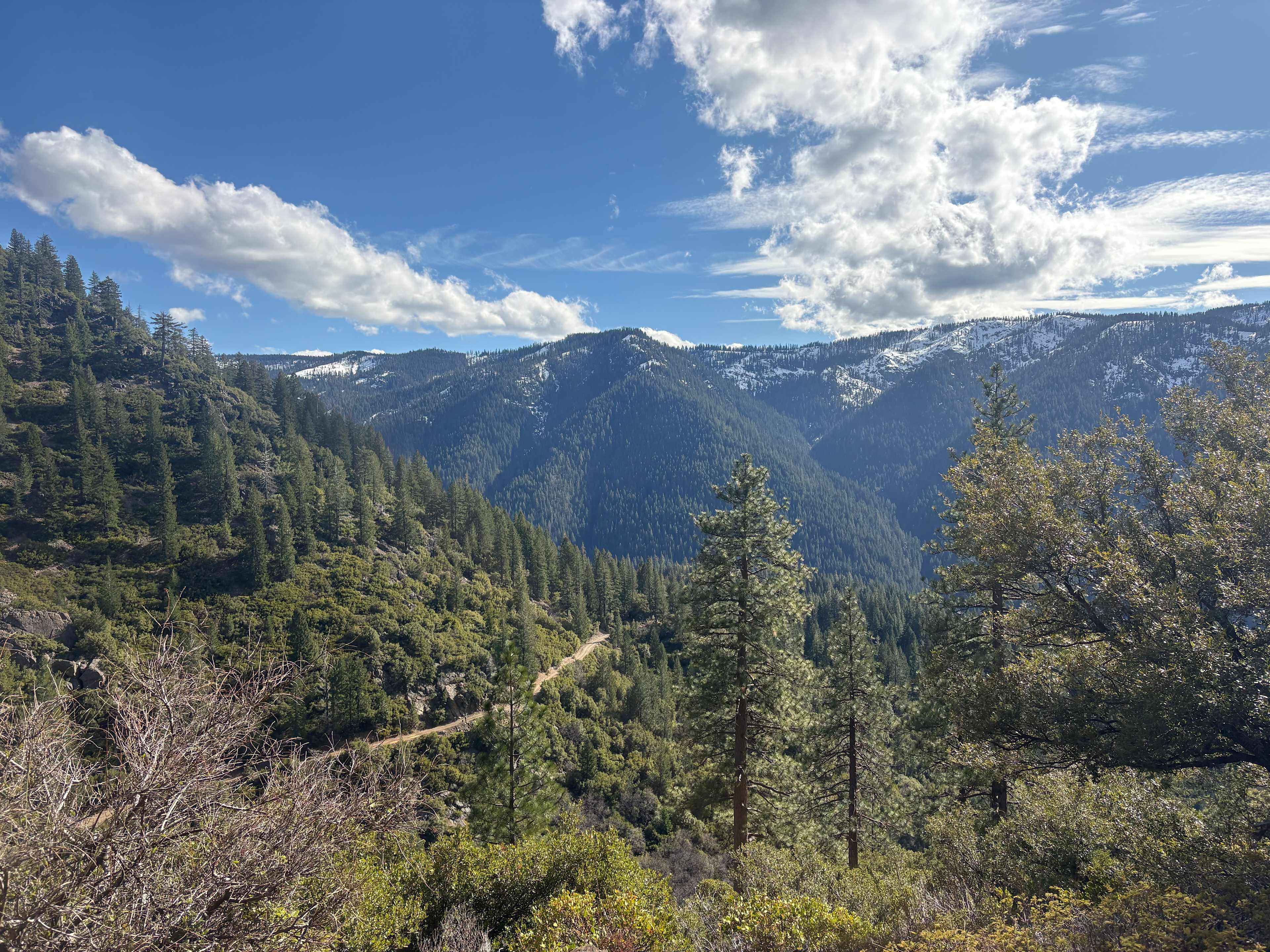 Magical Lost Sierra Bungalow!