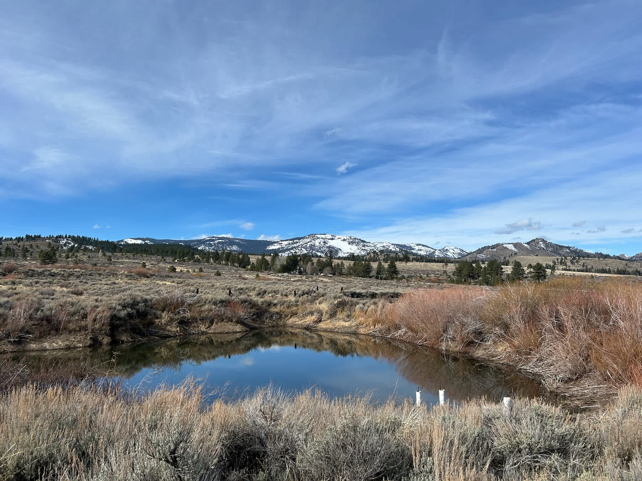 Flyte and Sparrow natural interlude