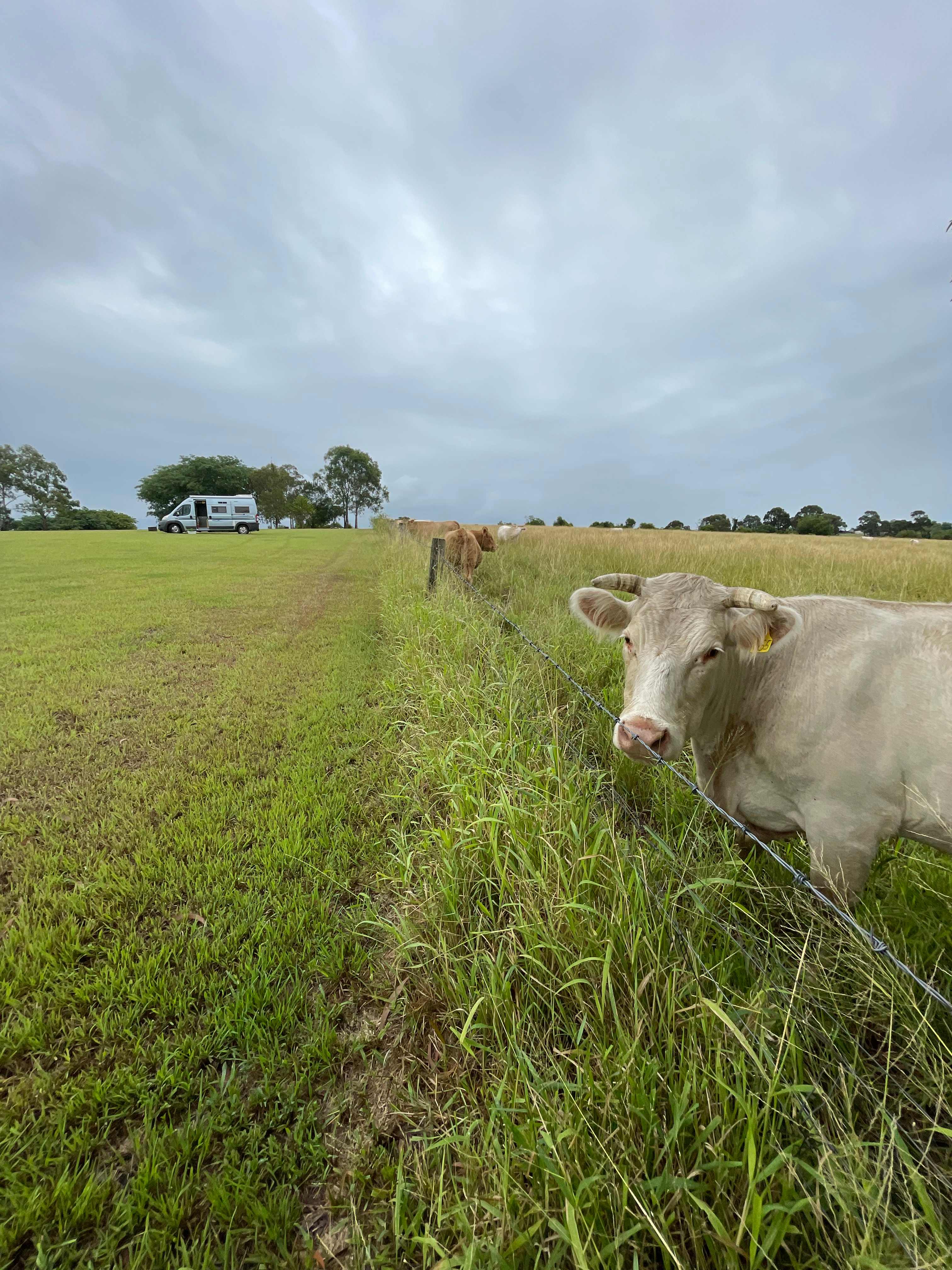Olive View Estate - Stunning Views!