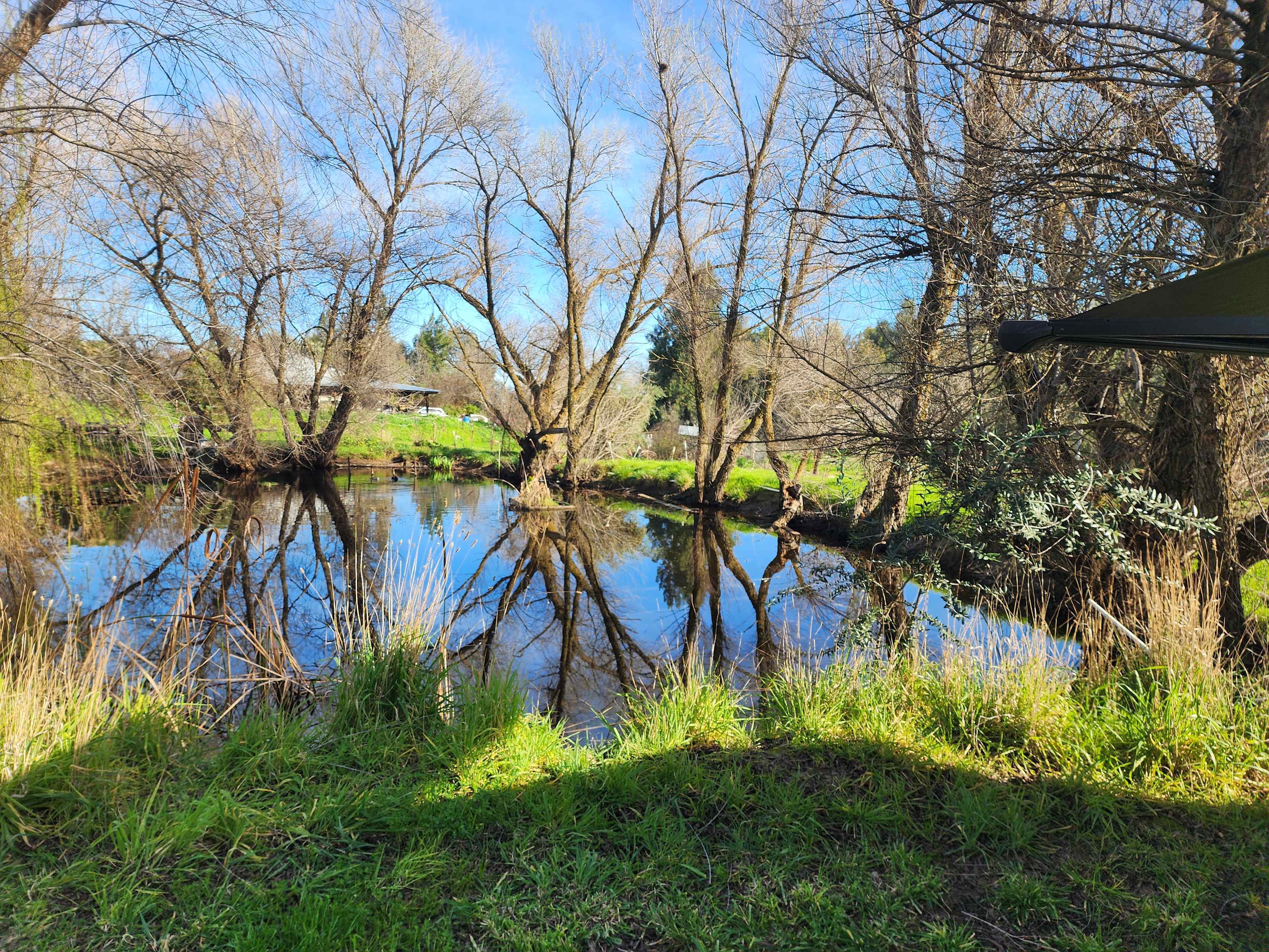 Incredible pond!