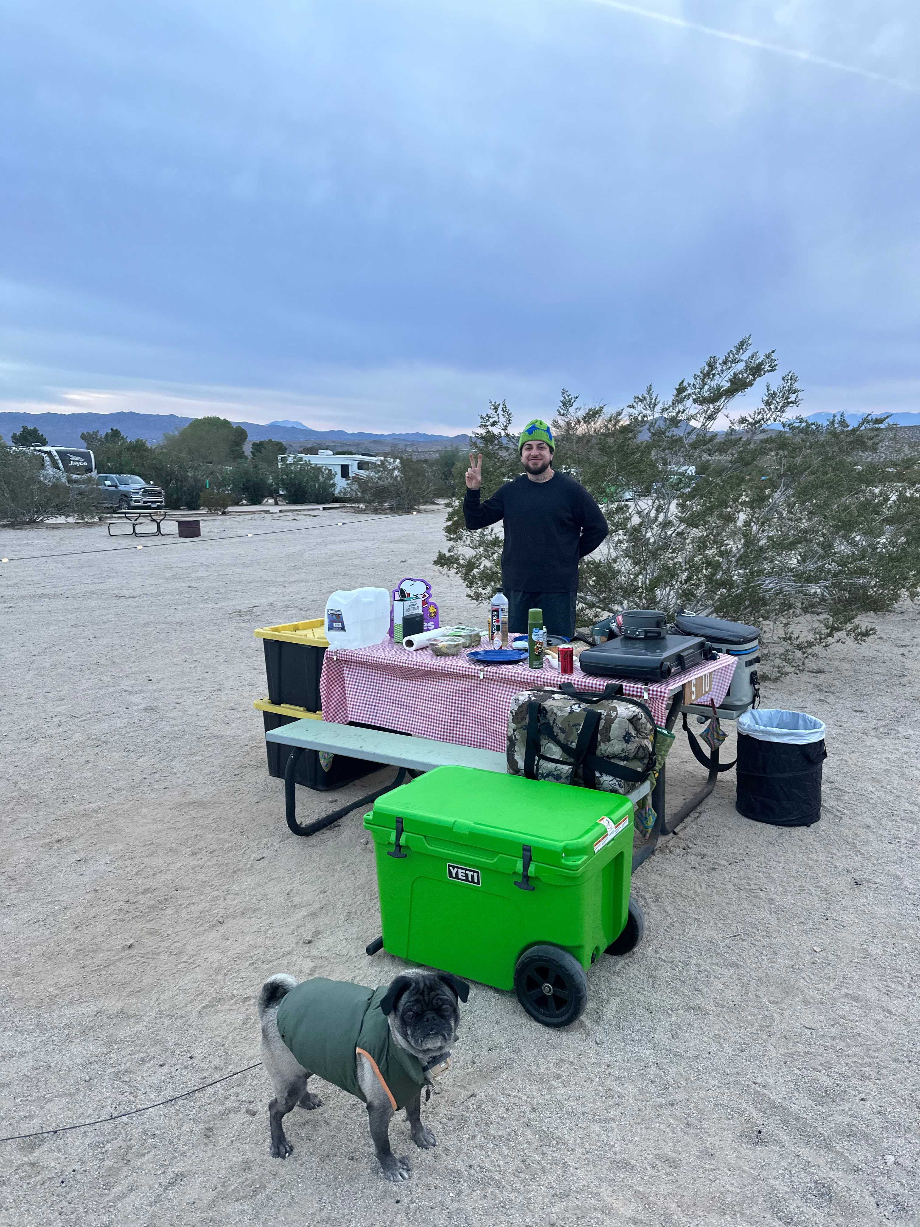 Joshua Tree Lake RV & Campground