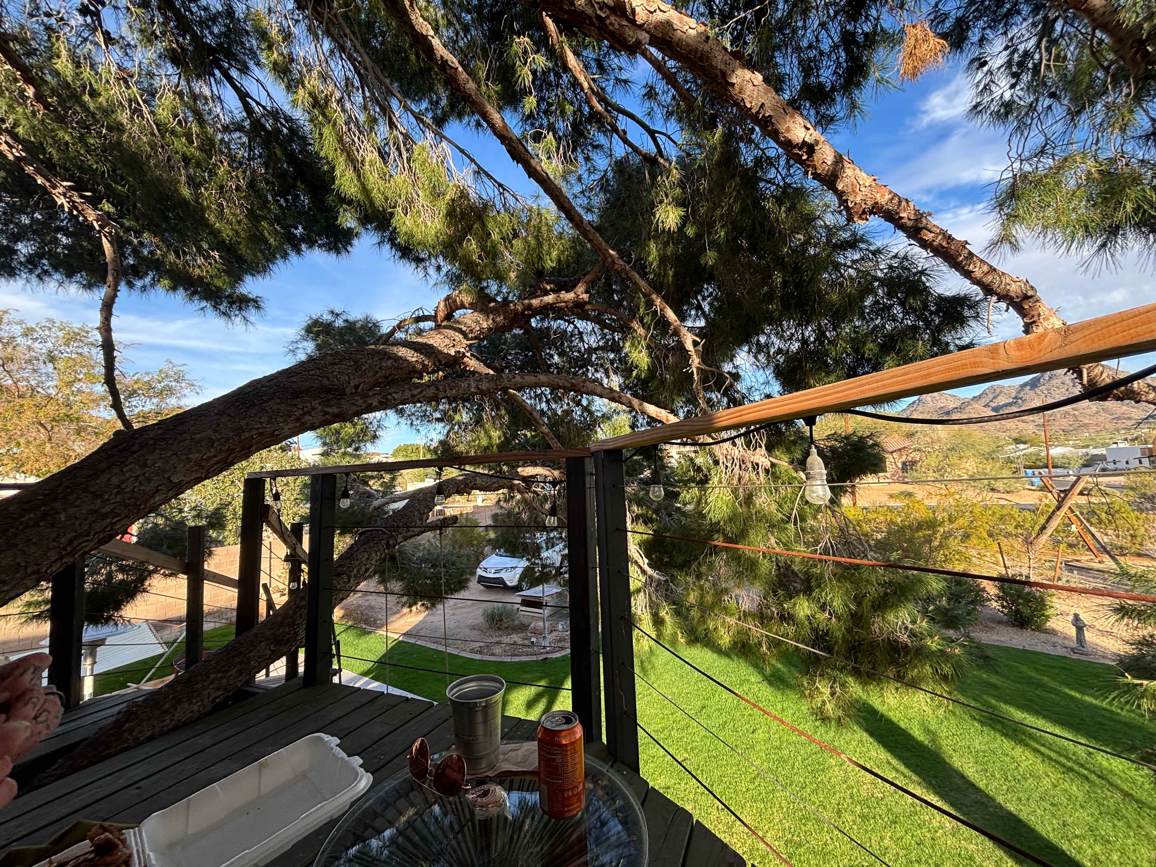 Phoenix Mountains Treehouse