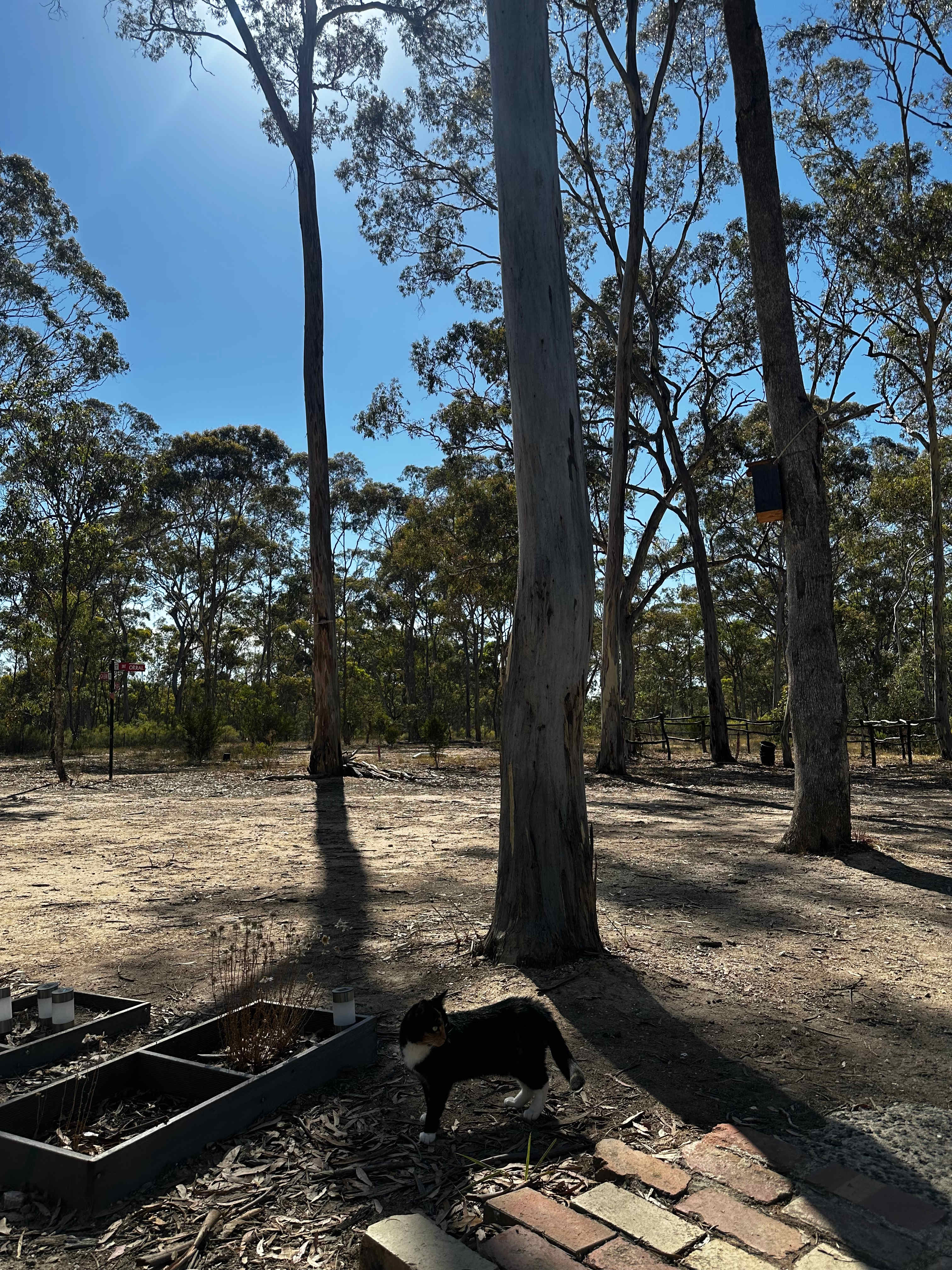 Lovely Bush Property