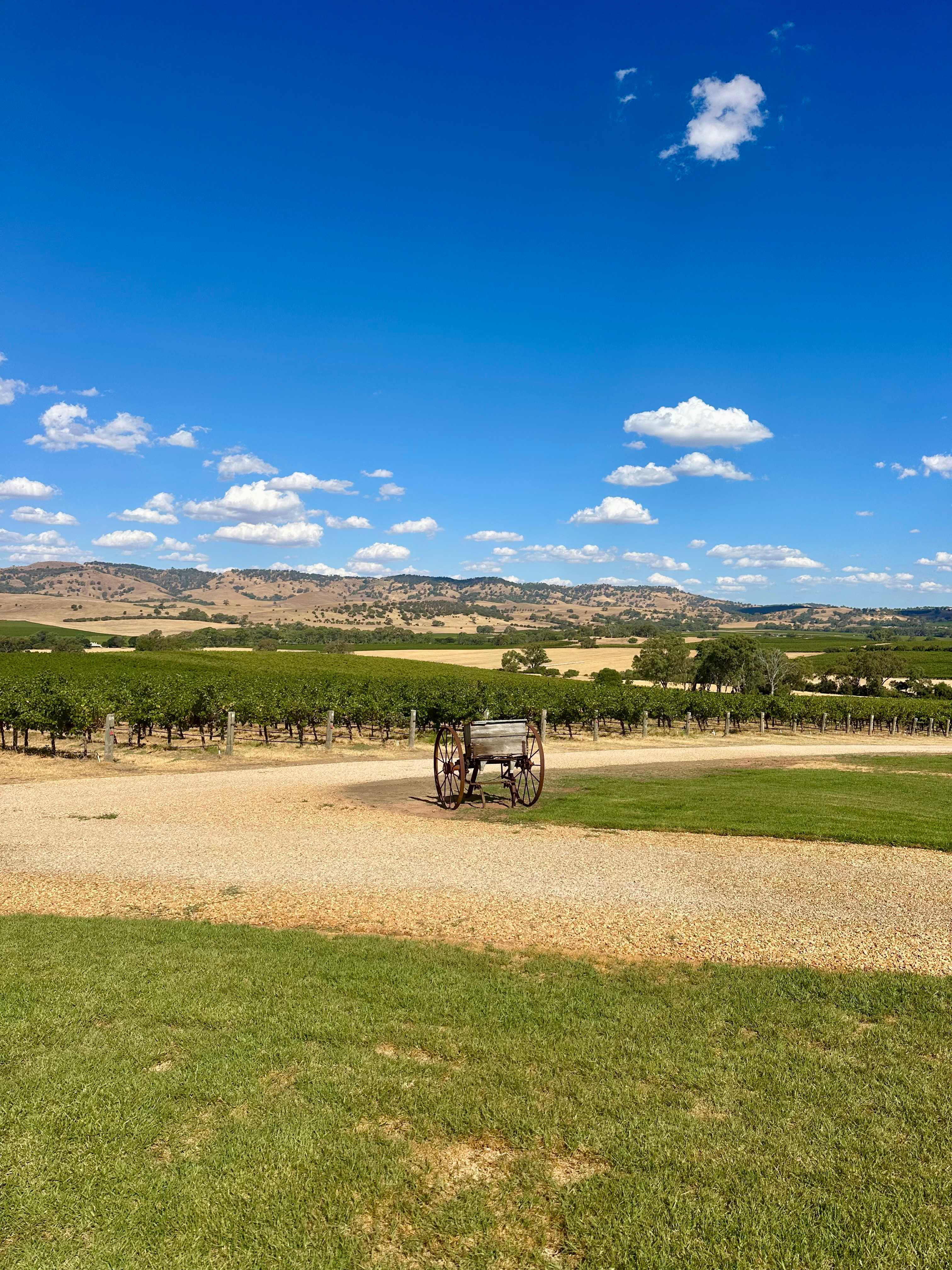 God’s Hill Wines & Ennia Cucina