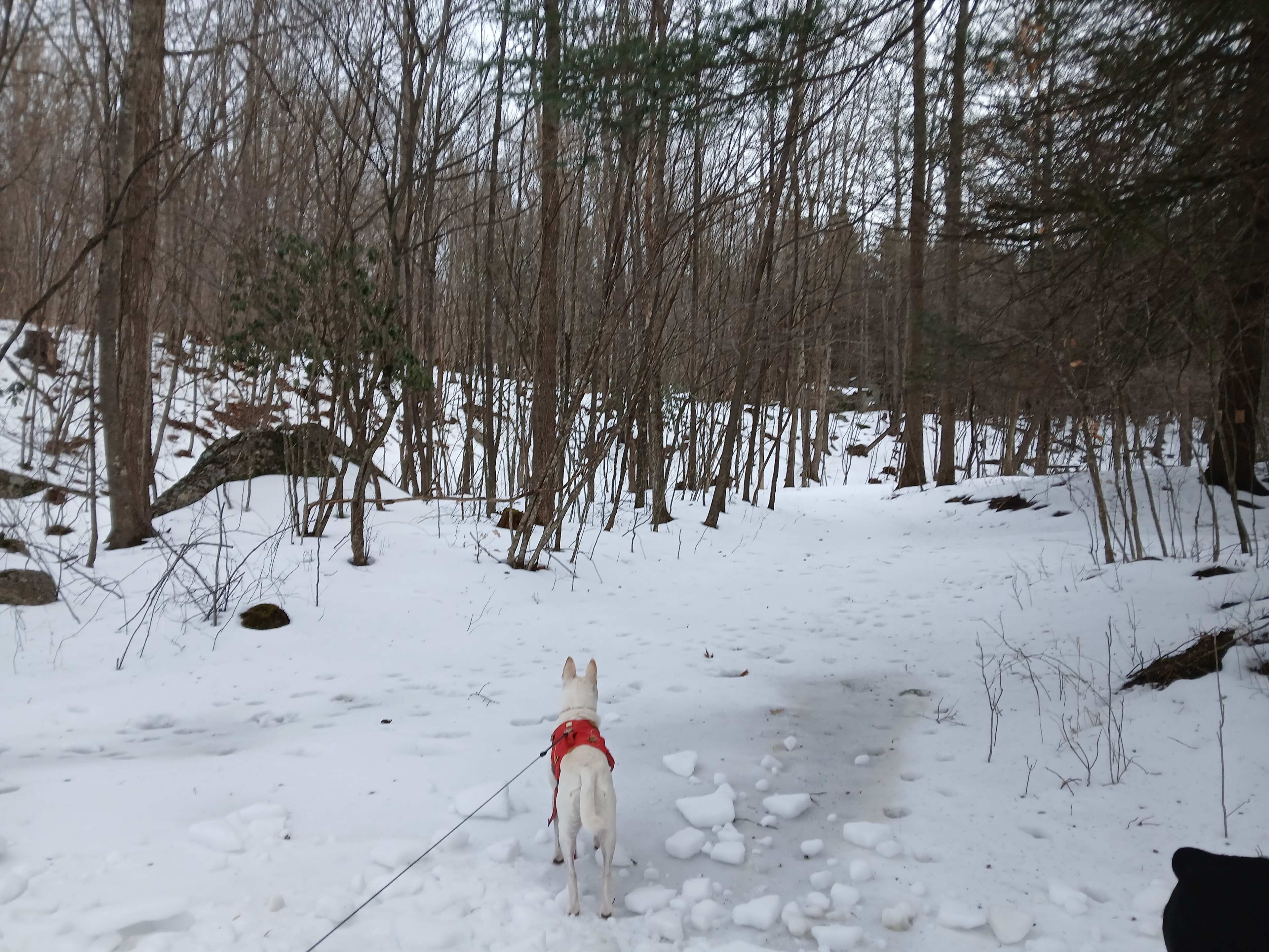 Abrams Creek Campground/Retreat