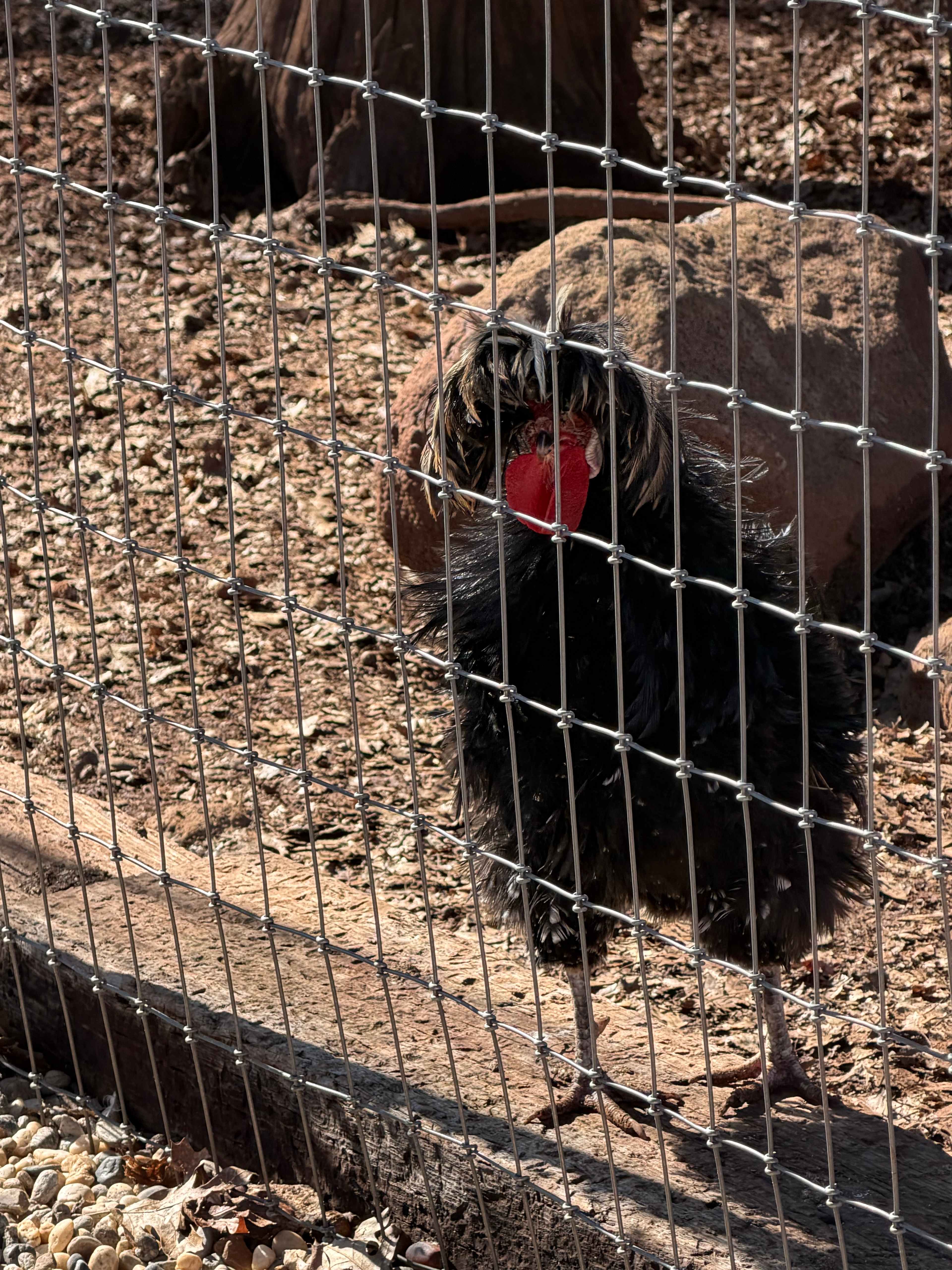 Tambo Ranch Tiny House Village