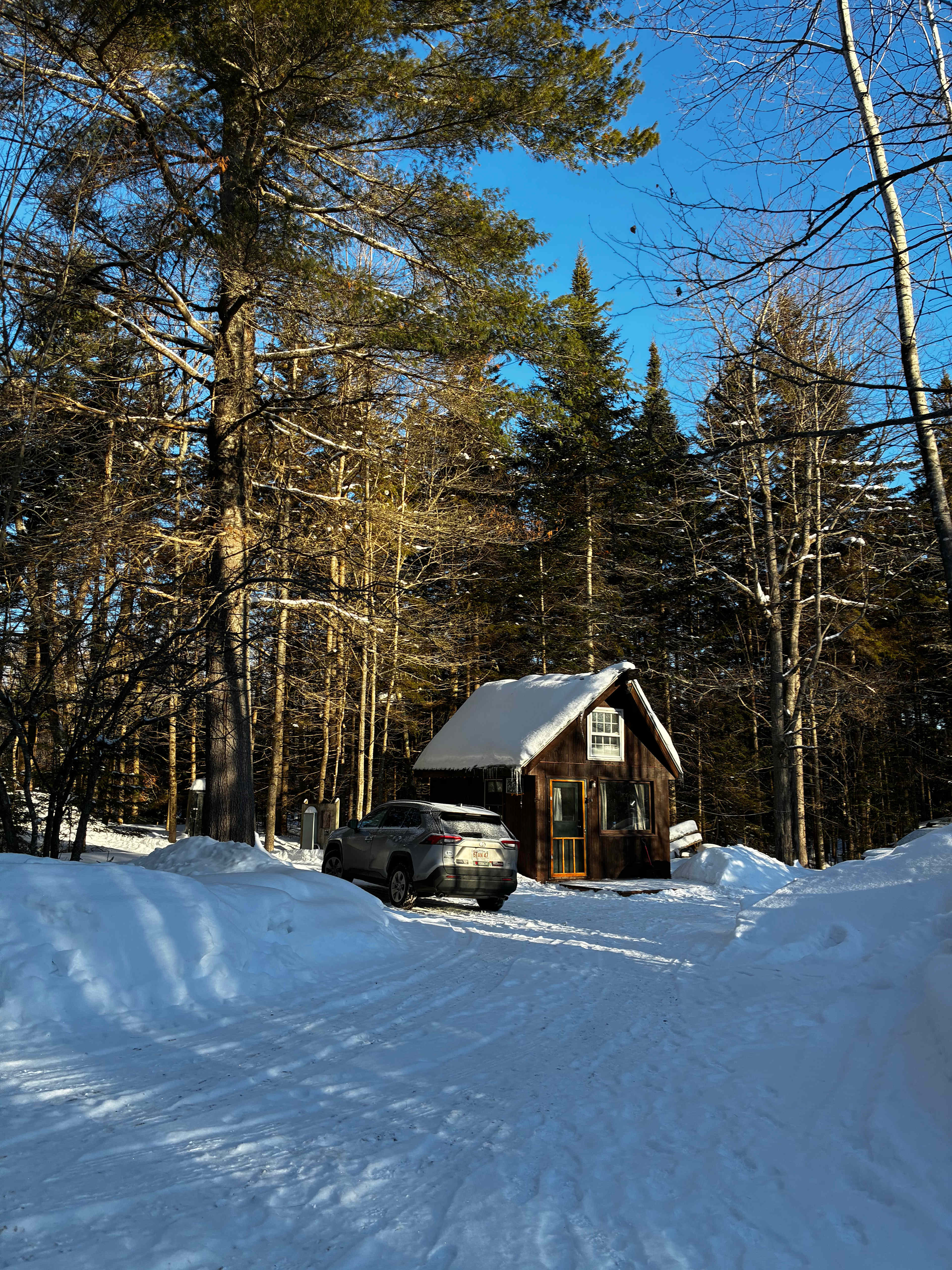 Pine Cone Cabin