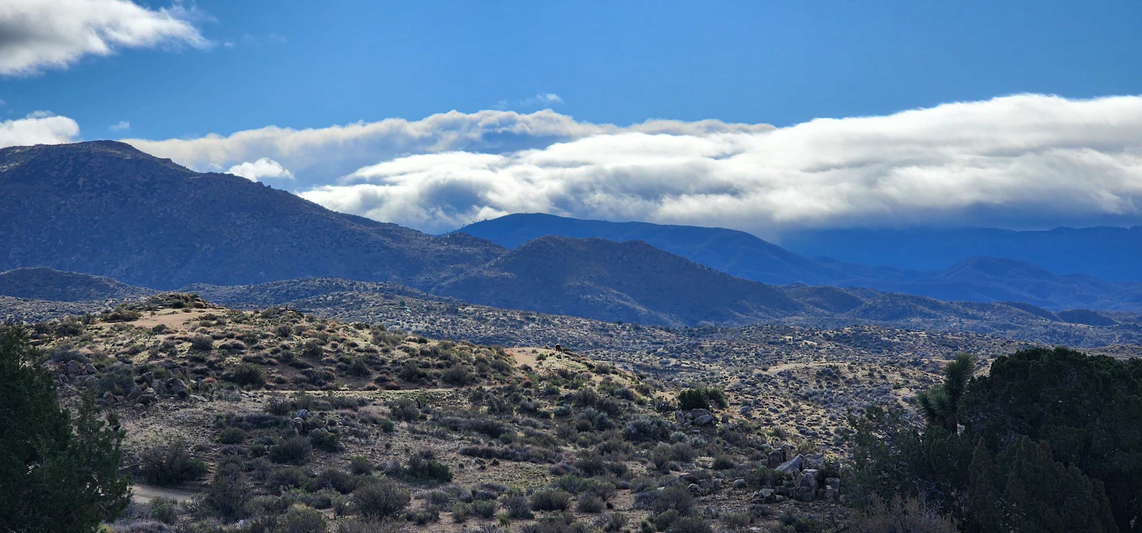 Bowen Ranch Hot Spring Retreat