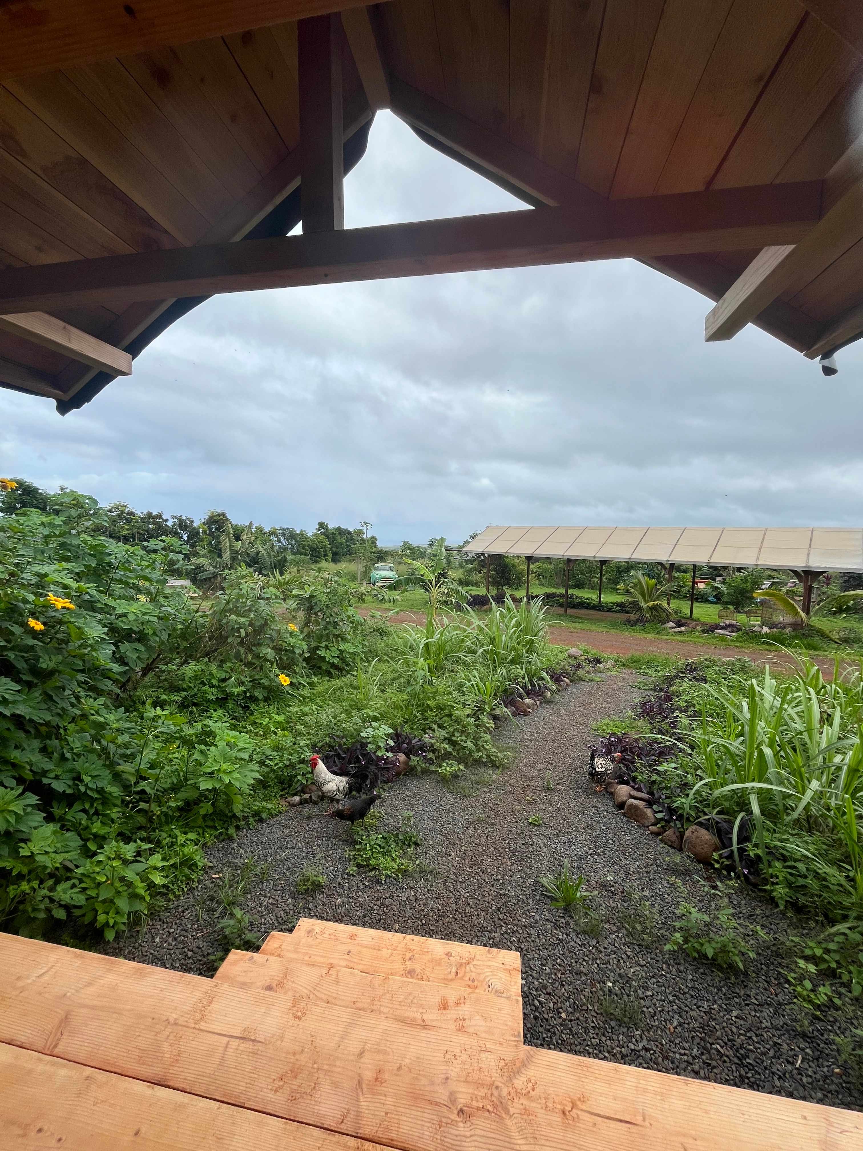 Living Circle Farms Hawaii