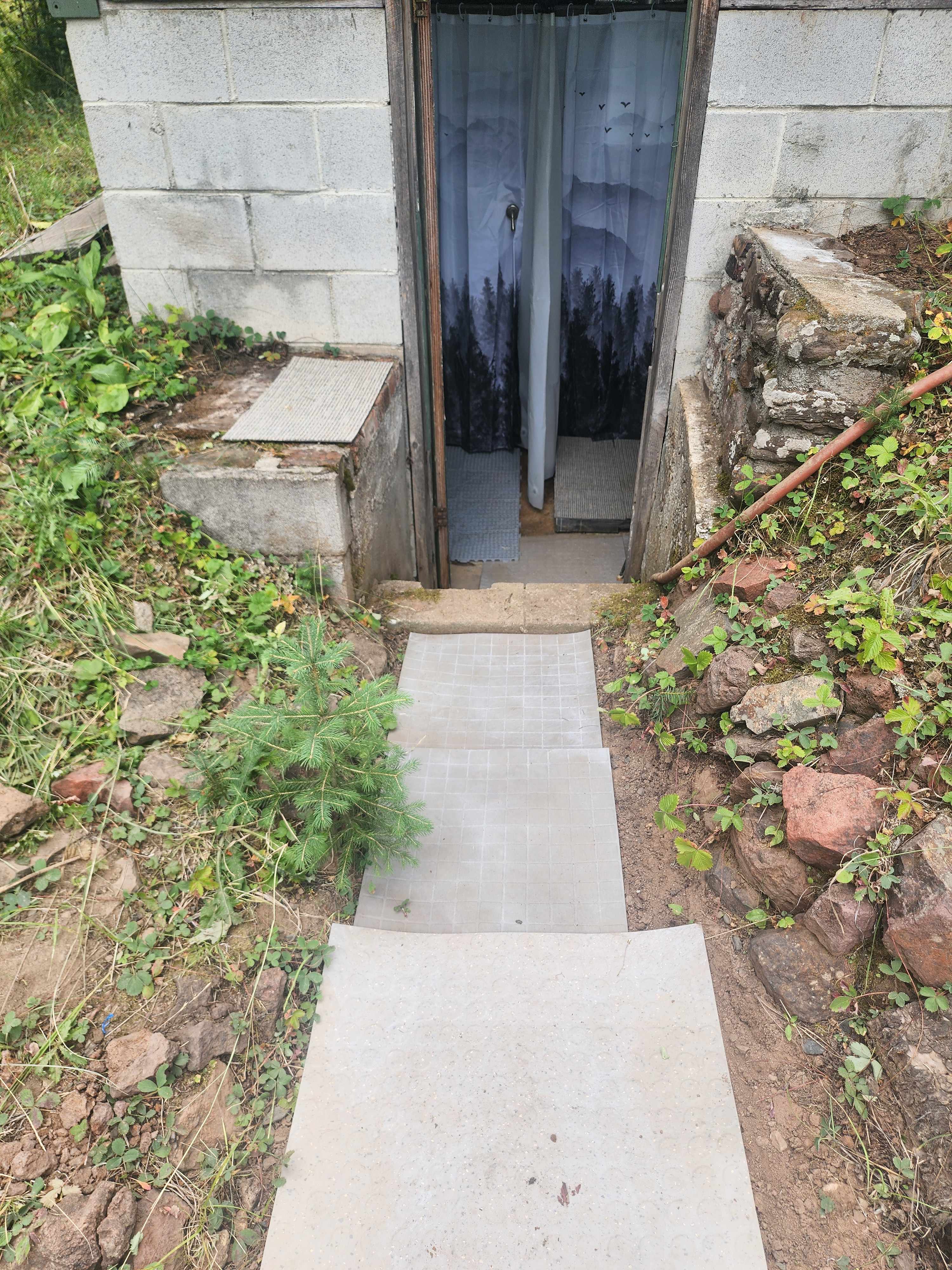 Picture of the site