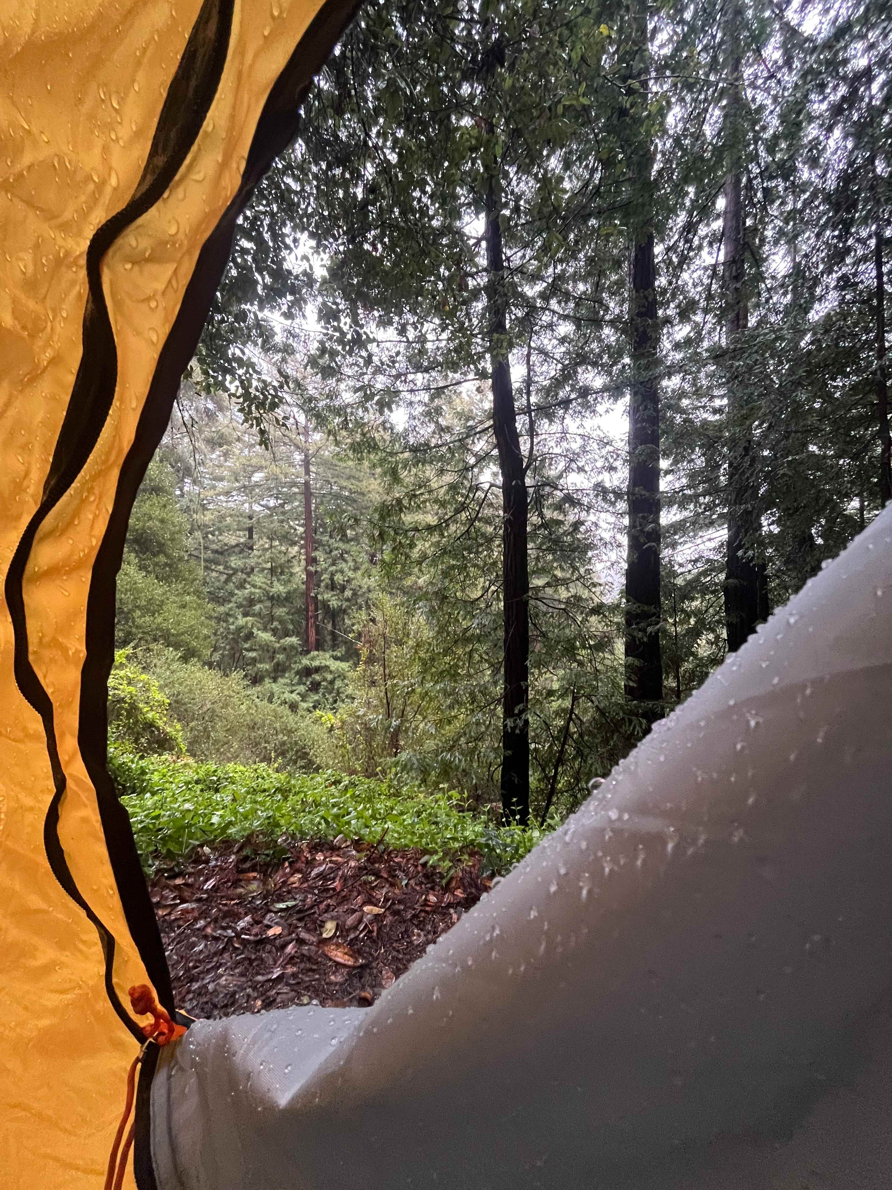 Fern Ridge Flats - Private Camping