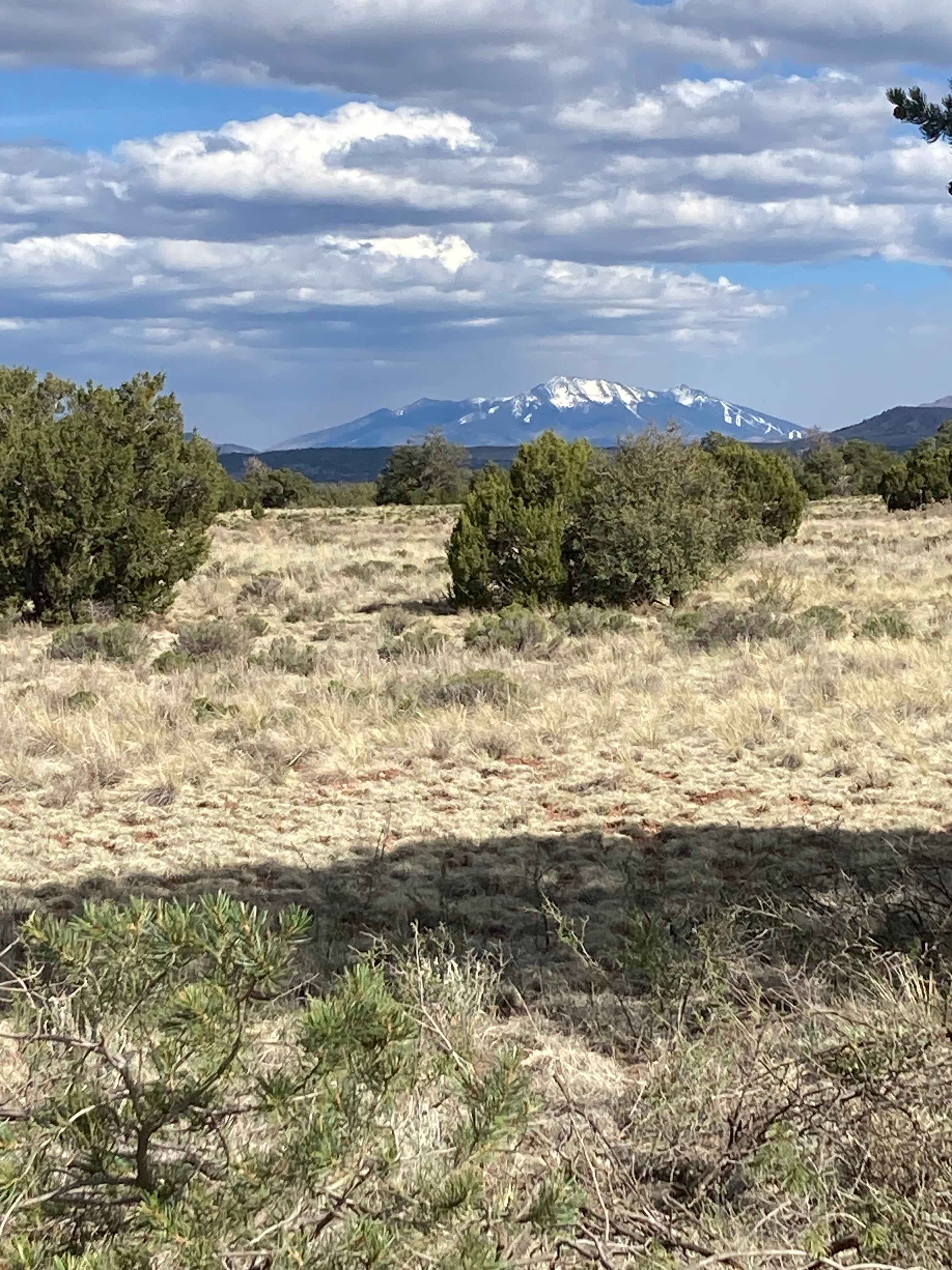 Son Ranch