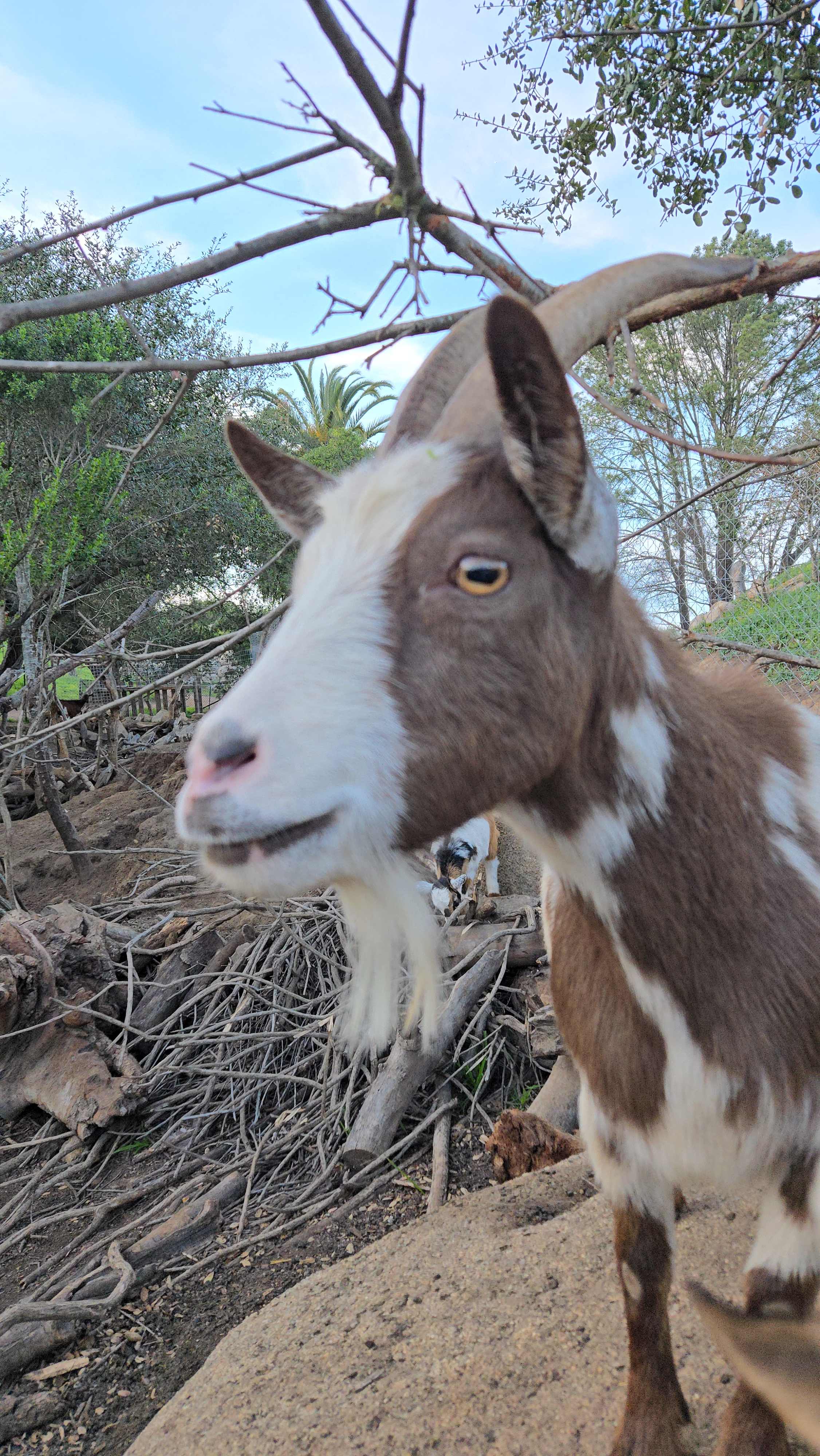 Splitrock Farm and Retreat