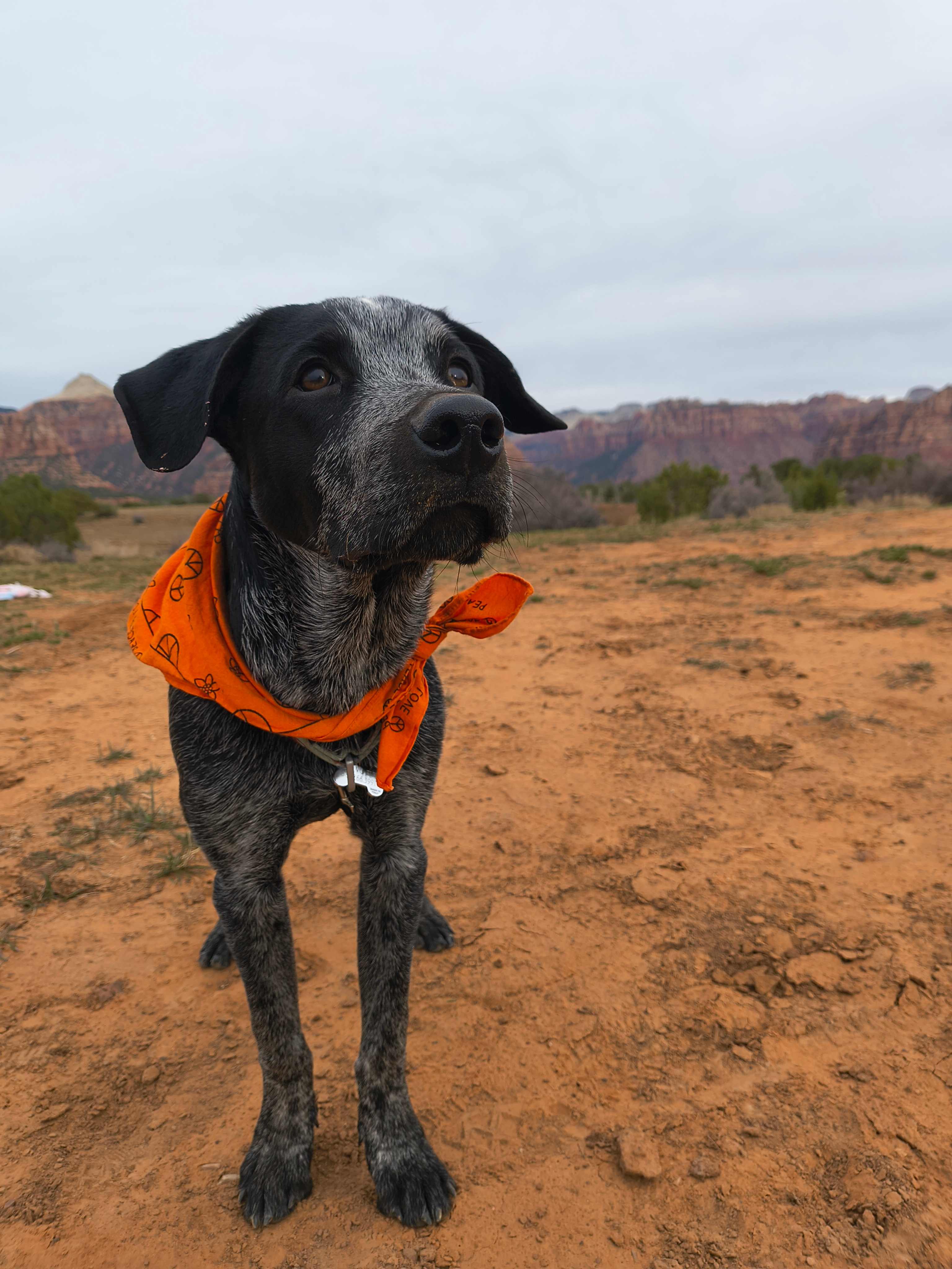 Zion Wright Ranch Eco-Camp