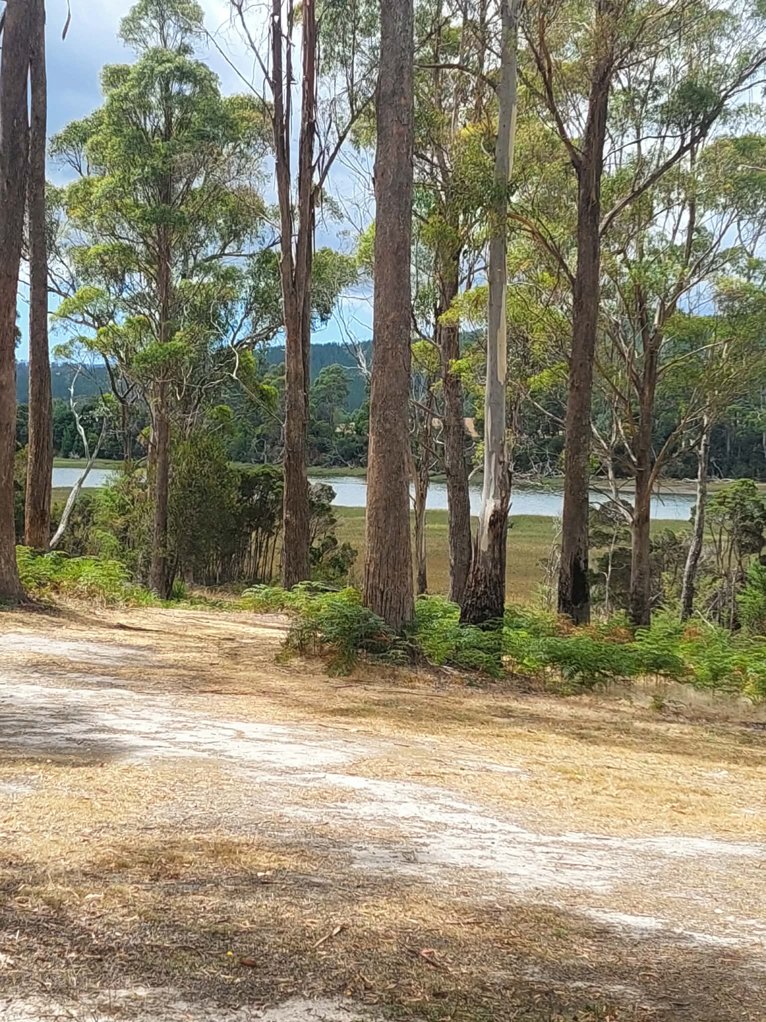 Farm on Franklin - Tasmania